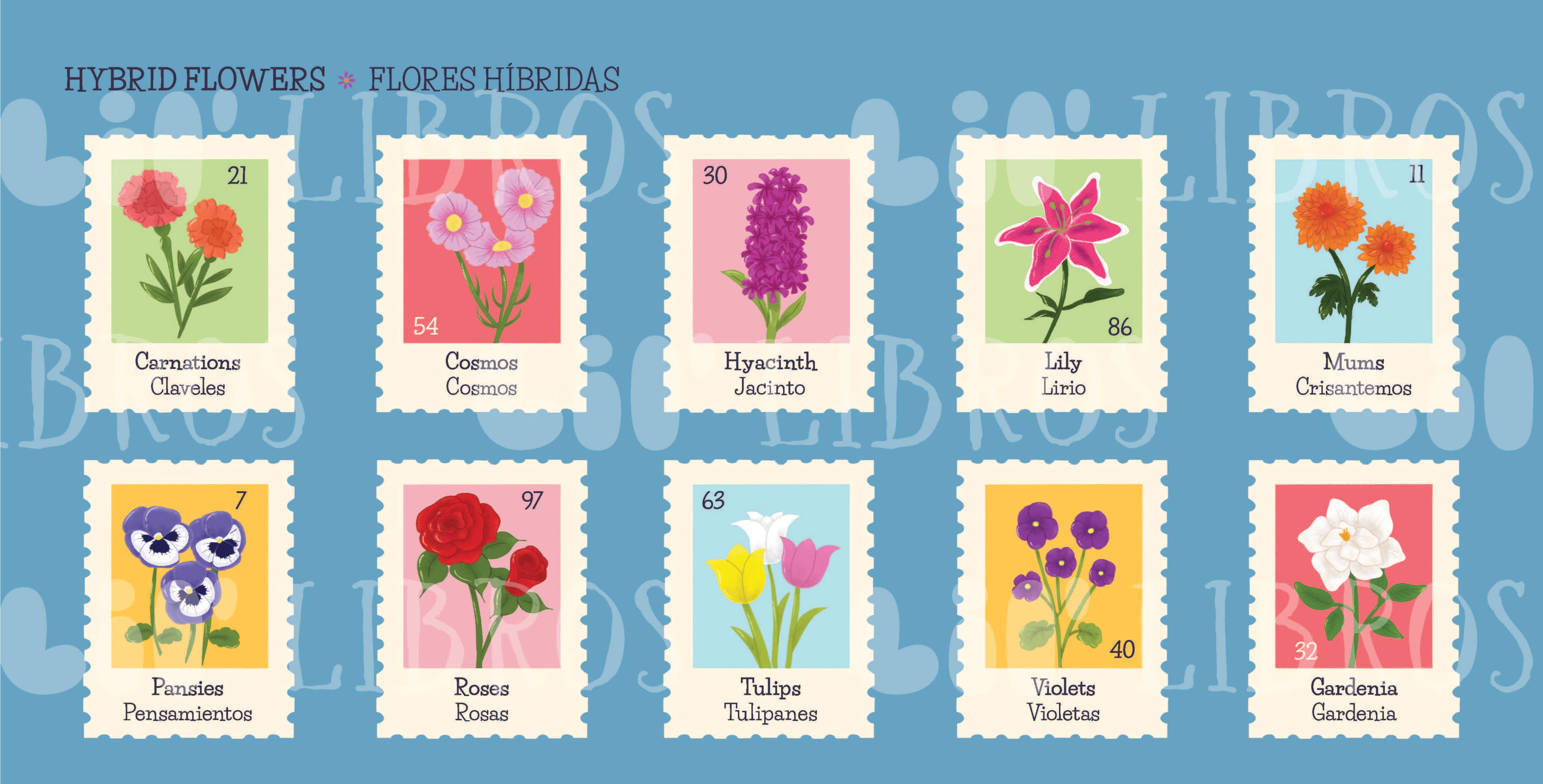 My First 100 Plantitas & Florecitas Words (Bilingual)