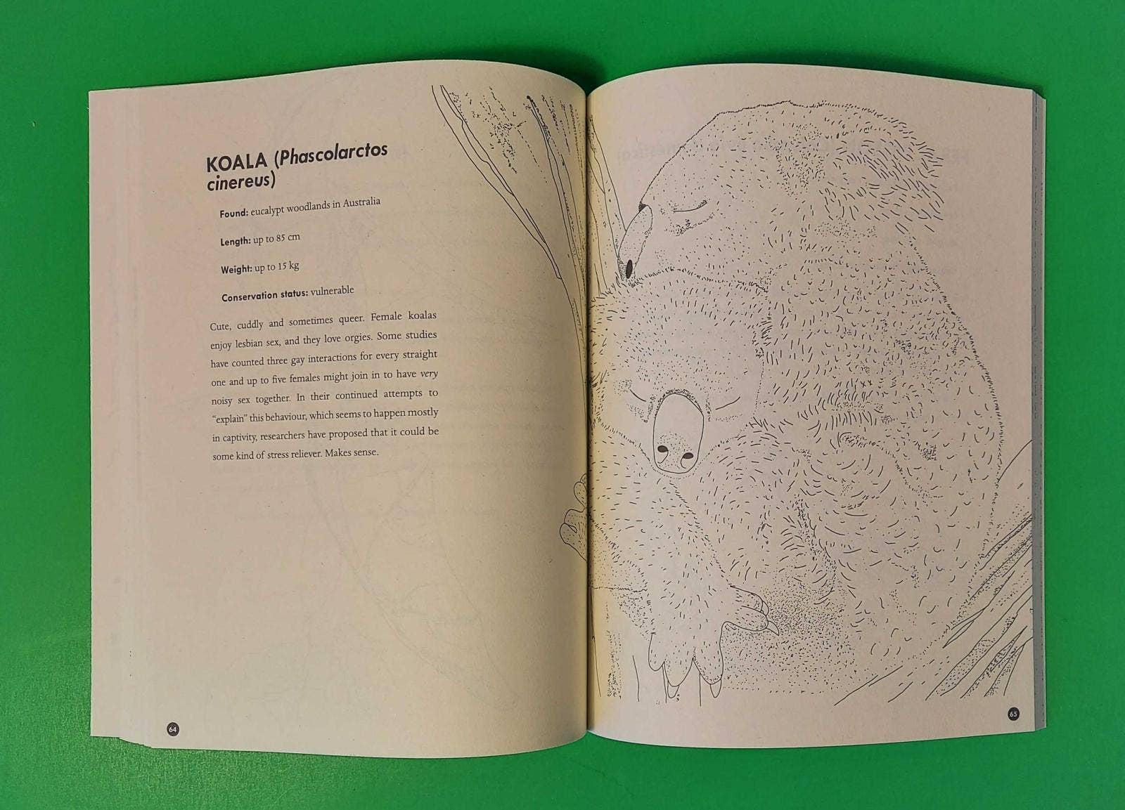 Queer Animals and Plants Coloring Book