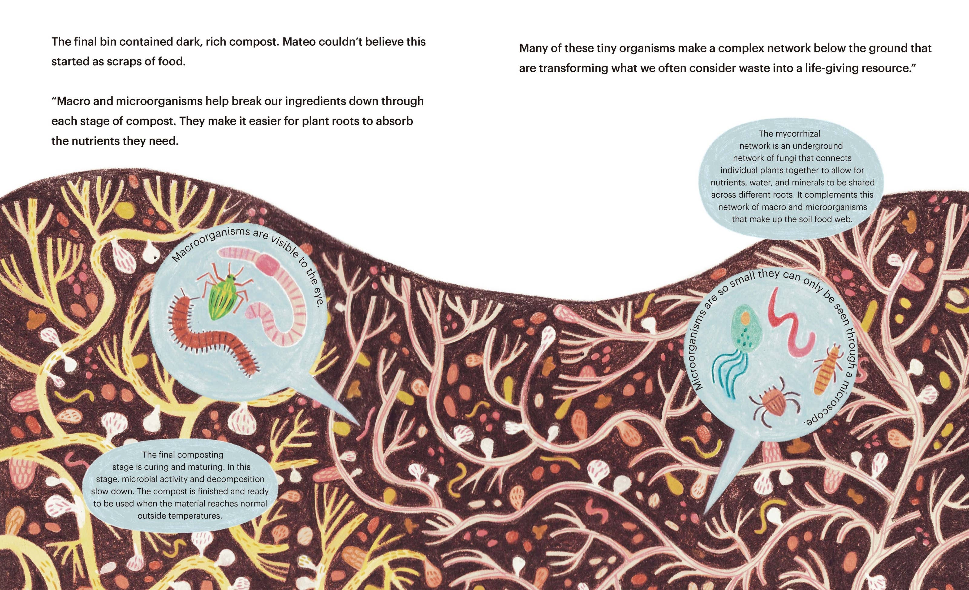 Composting for Community: A STEM Kids Picture Book