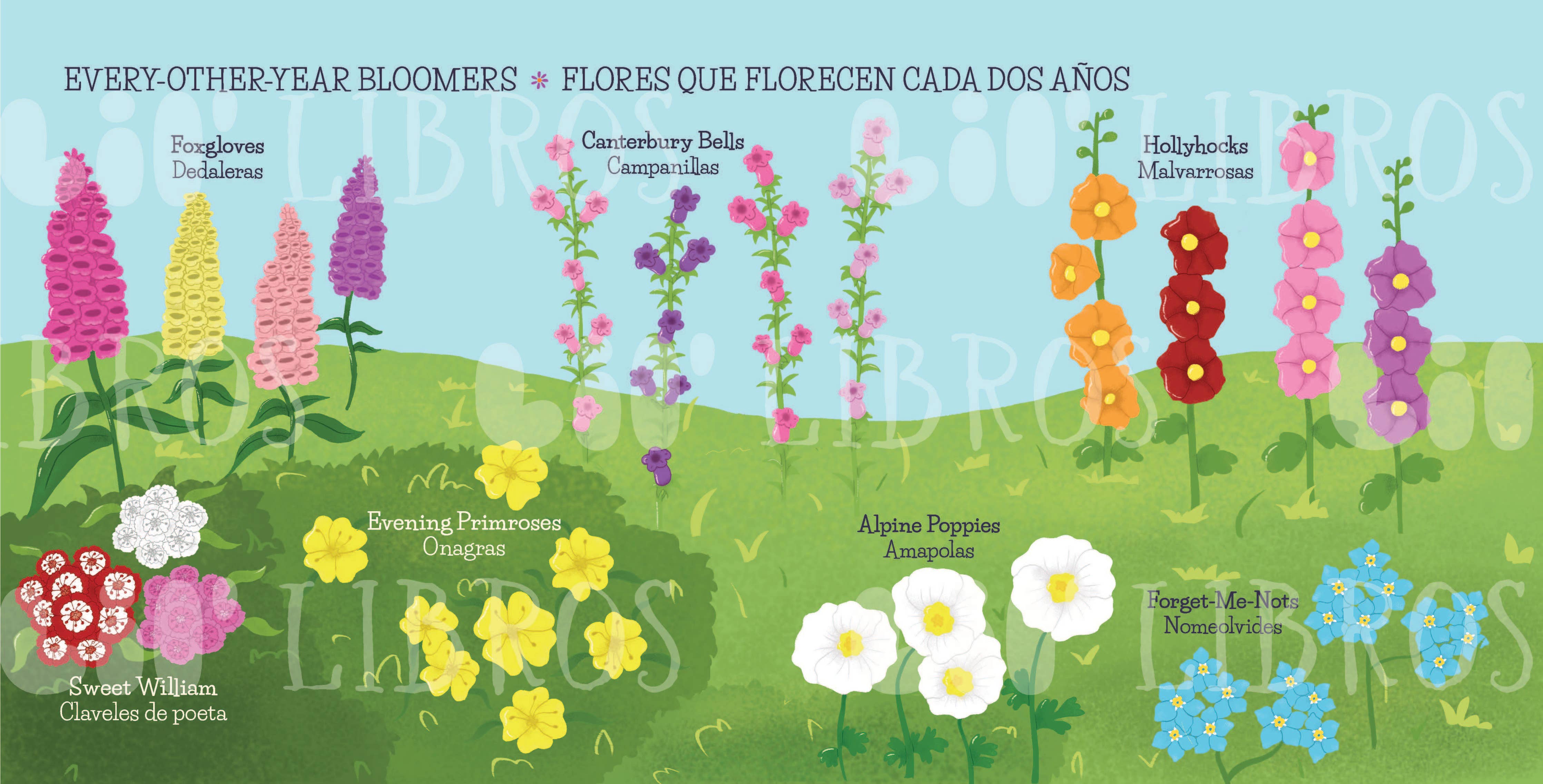 My First 100 Plantitas & Florecitas Words (Bilingual)