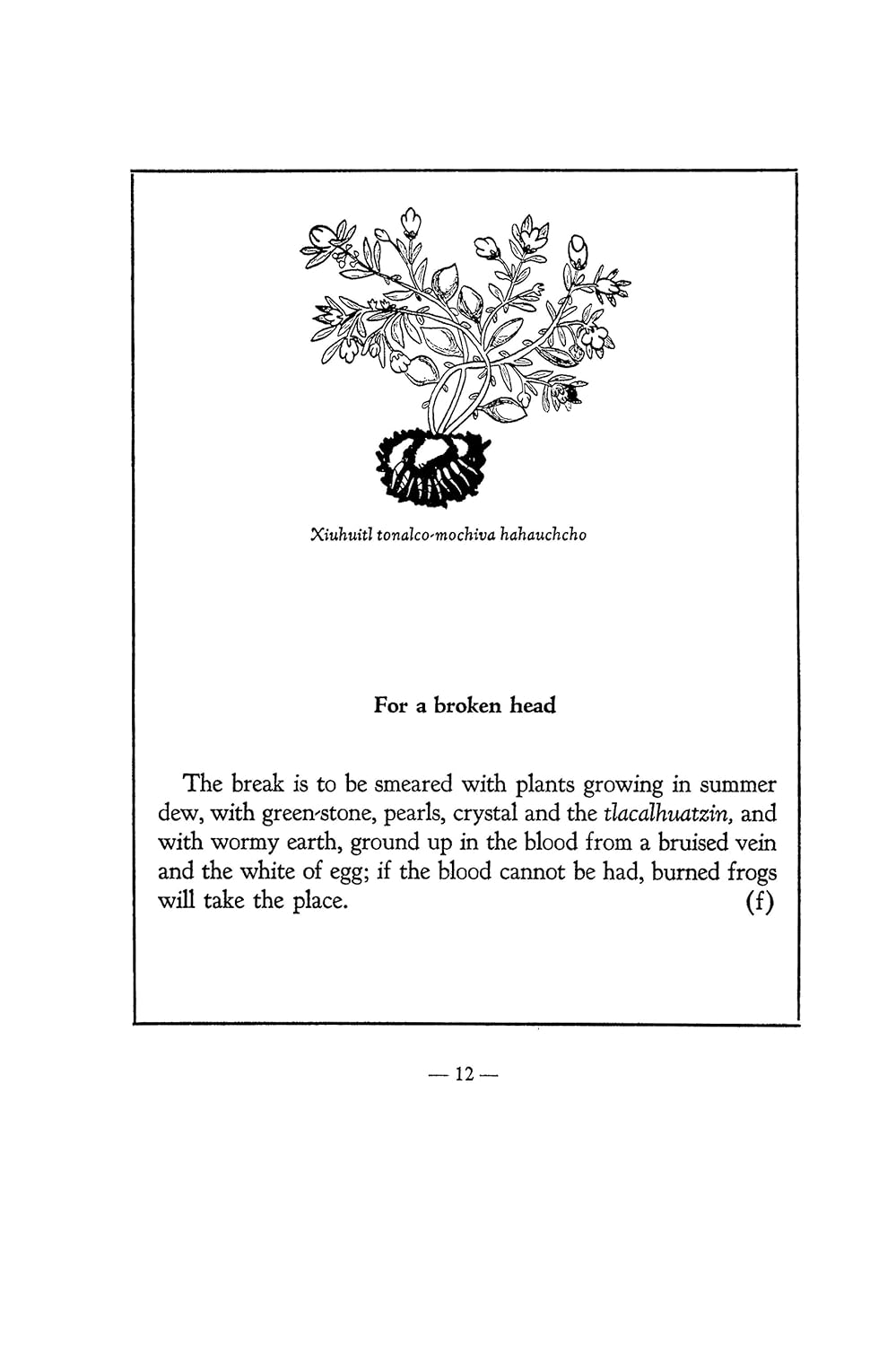 An Aztec Herbal: The Classic Codex of 1552
