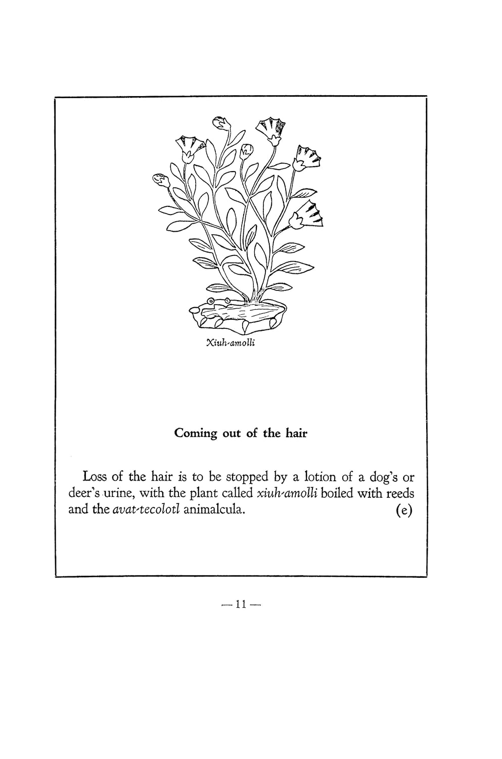 An Aztec Herbal: The Classic Codex of 1552