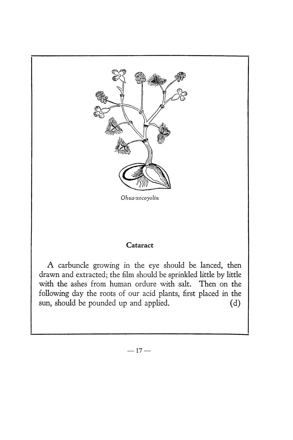 An Aztec Herbal: The Classic Codex of 1552