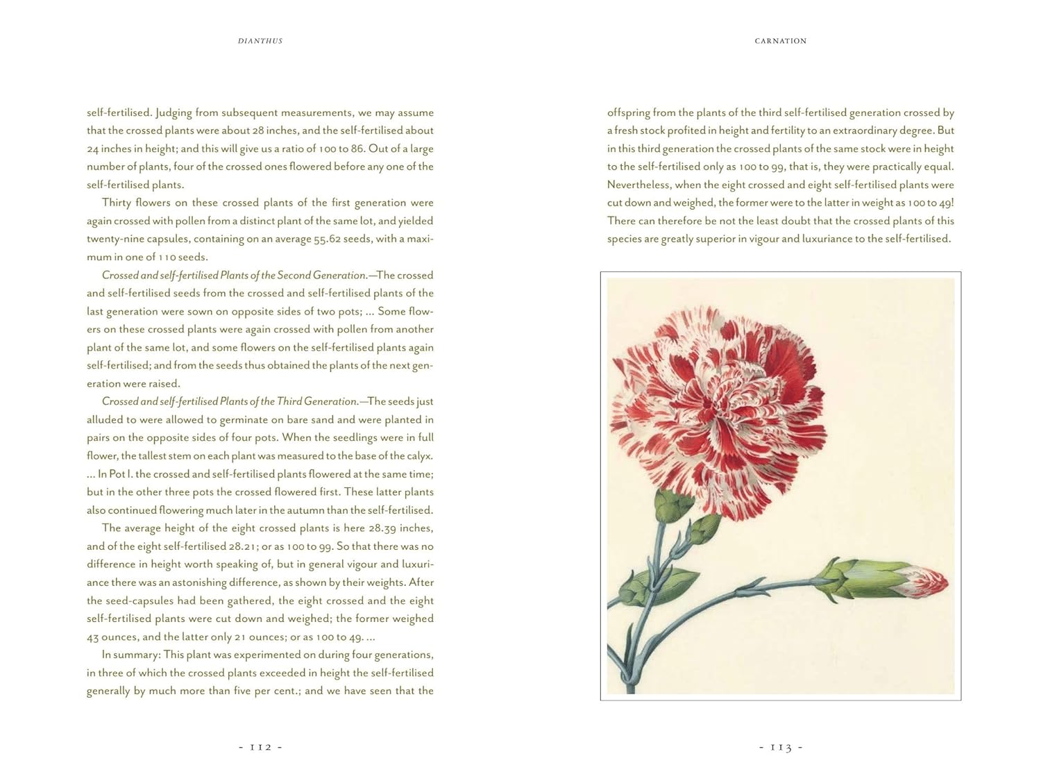 Darwin and the Art of Botany: Observations on the Curious World of Plants Hardcover