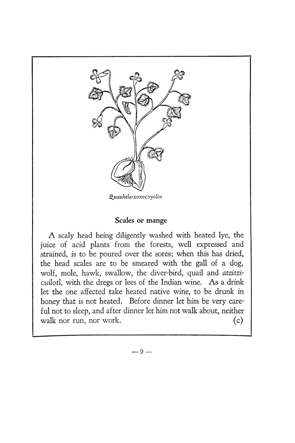 An Aztec Herbal: The Classic Codex of 1552
