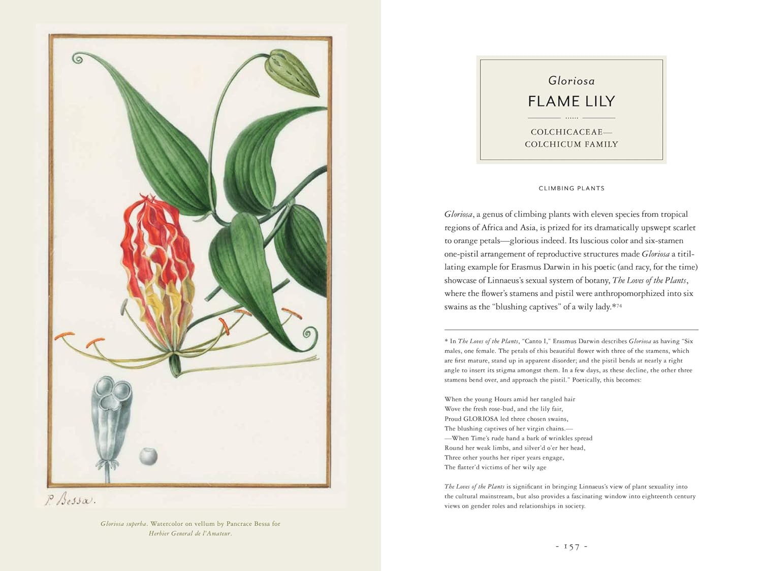 Darwin and the Art of Botany: Observations on the Curious World of Plants Hardcover