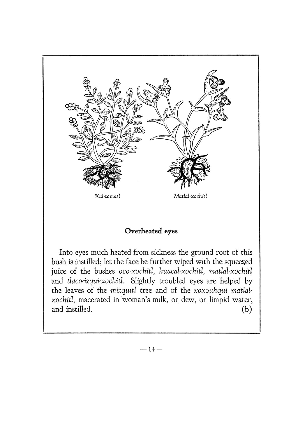 An Aztec Herbal: The Classic Codex of 1552