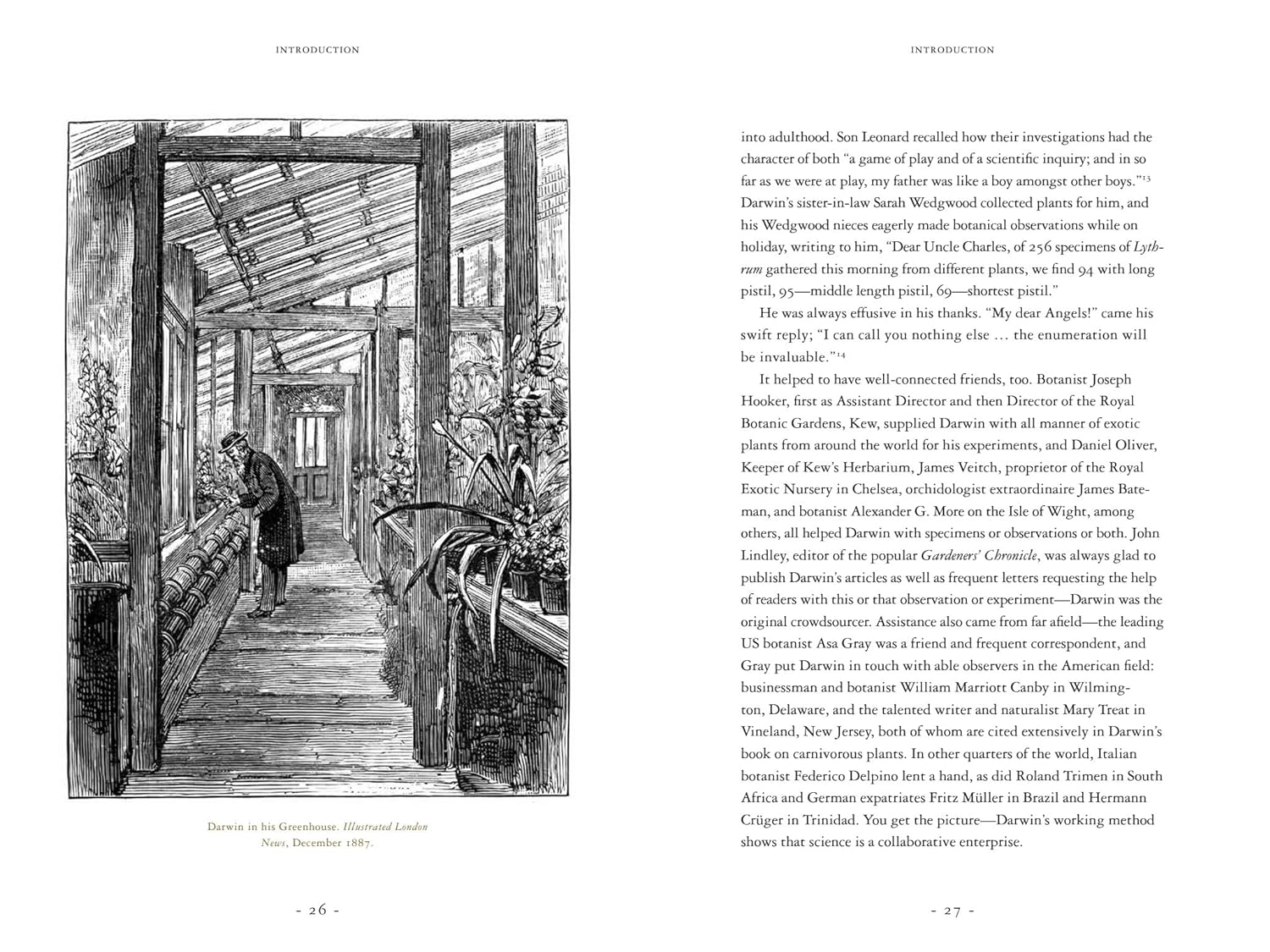 Darwin and the Art of Botany: Observations on the Curious World of Plants Hardcover