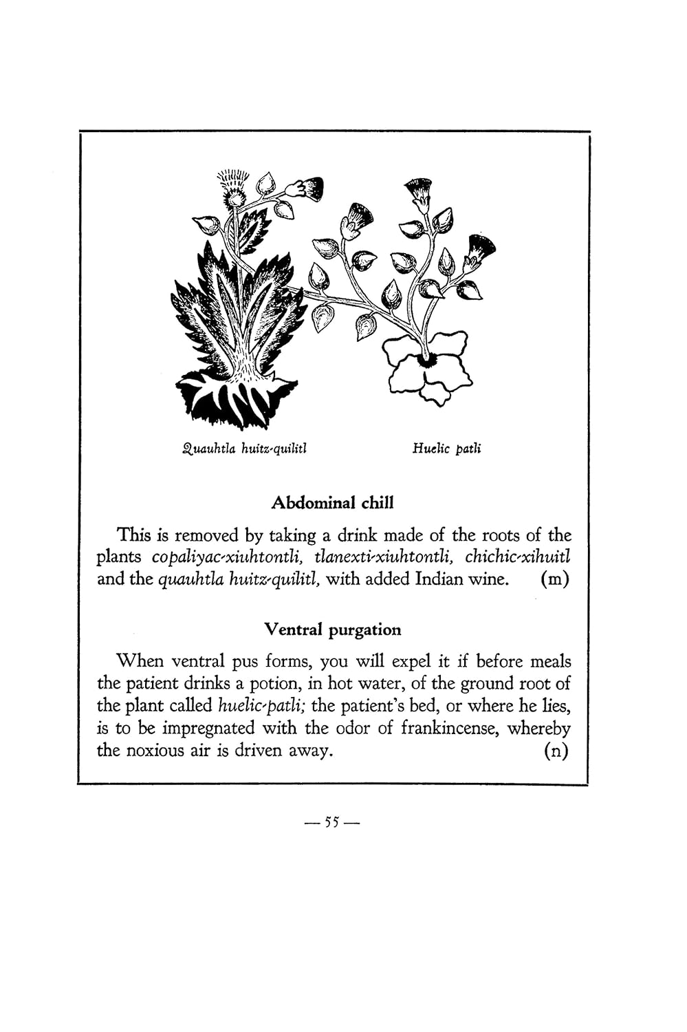 An Aztec Herbal: The Classic Codex of 1552