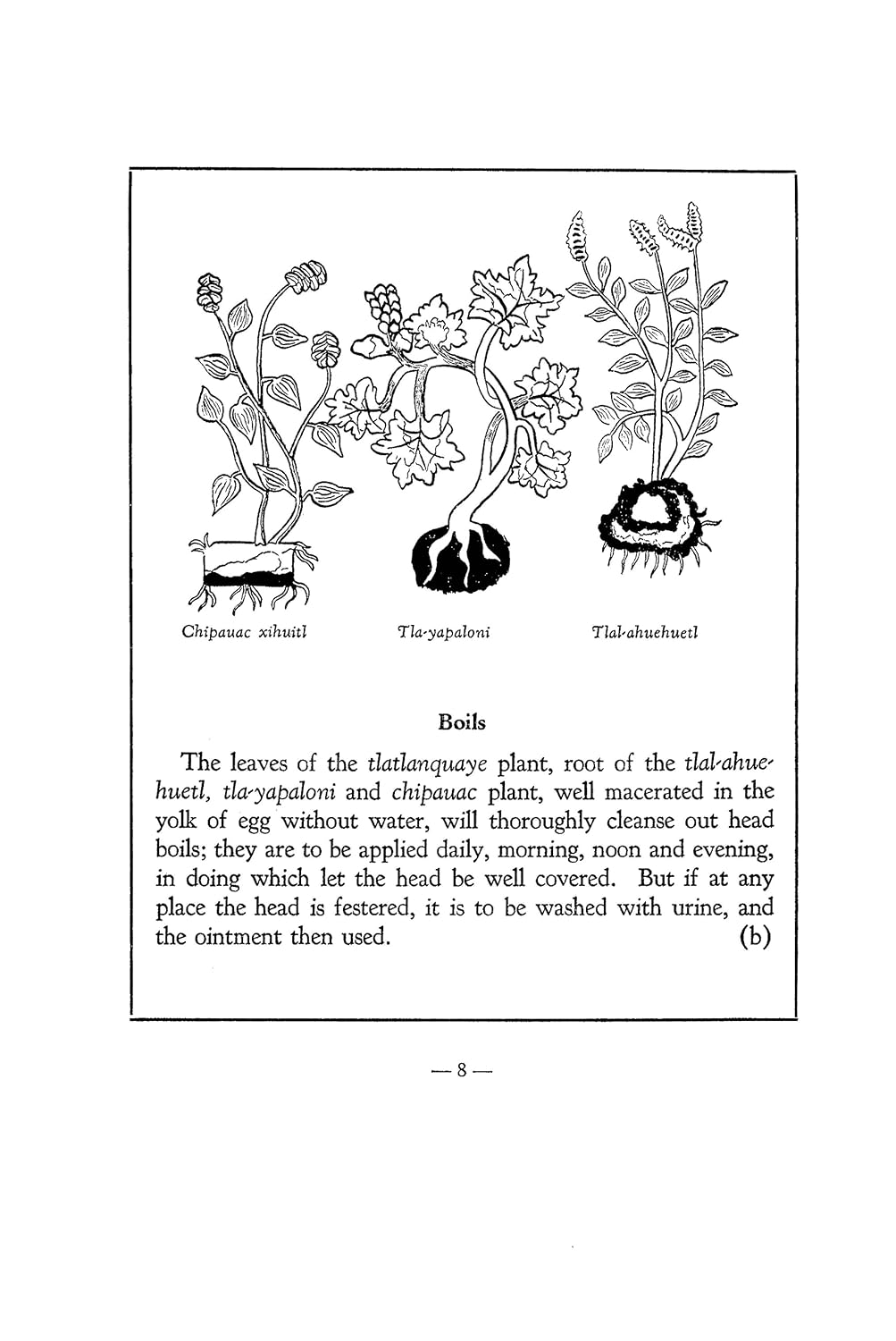 An Aztec Herbal: The Classic Codex of 1552