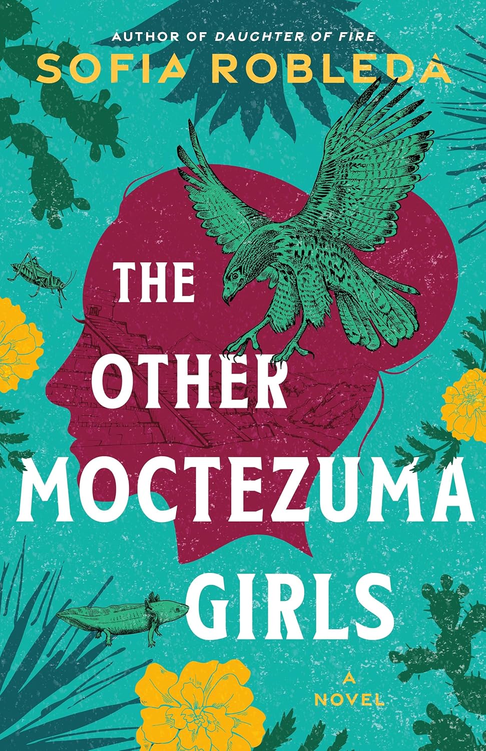 The Other Moctezuma Girls: A Novel