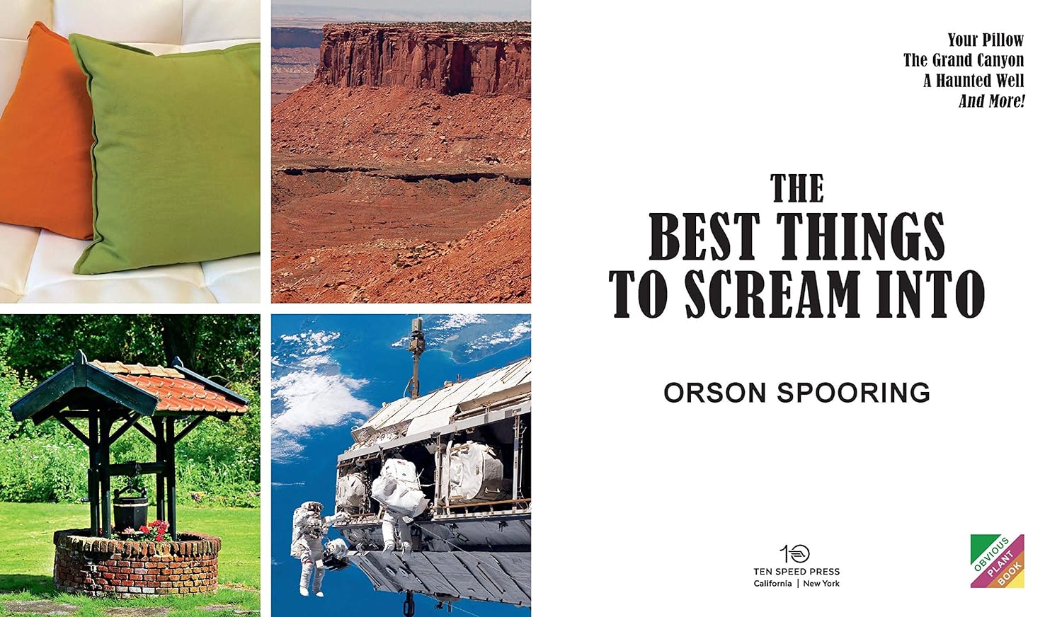 The Best Things to Scream Into Hardcover