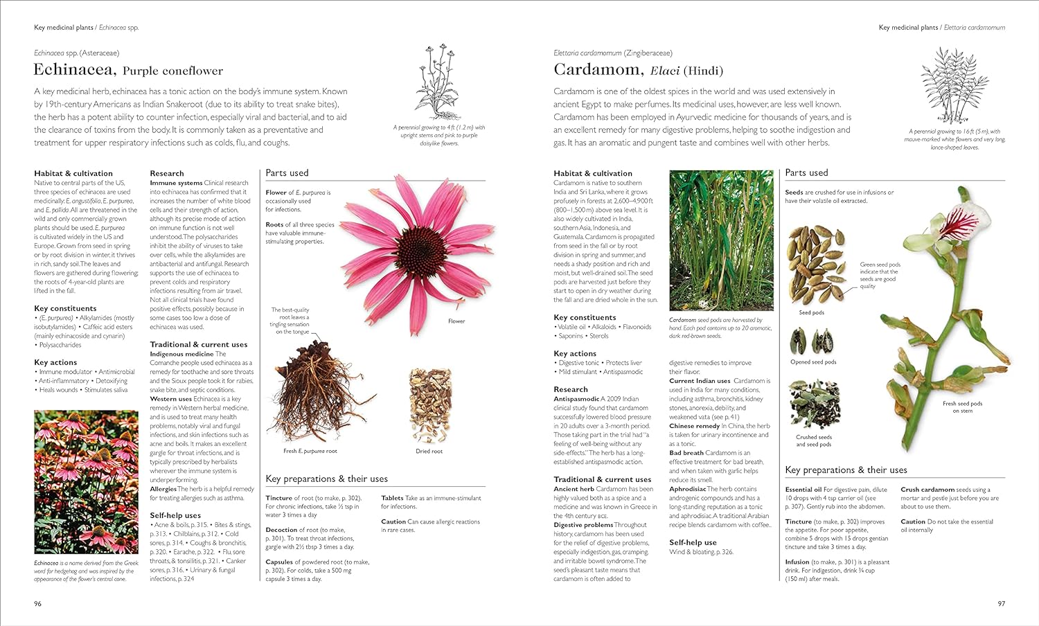 Encyclopedia of Herbal Medicine New Edition: 560 Herbs and Remedies for Common Ailments