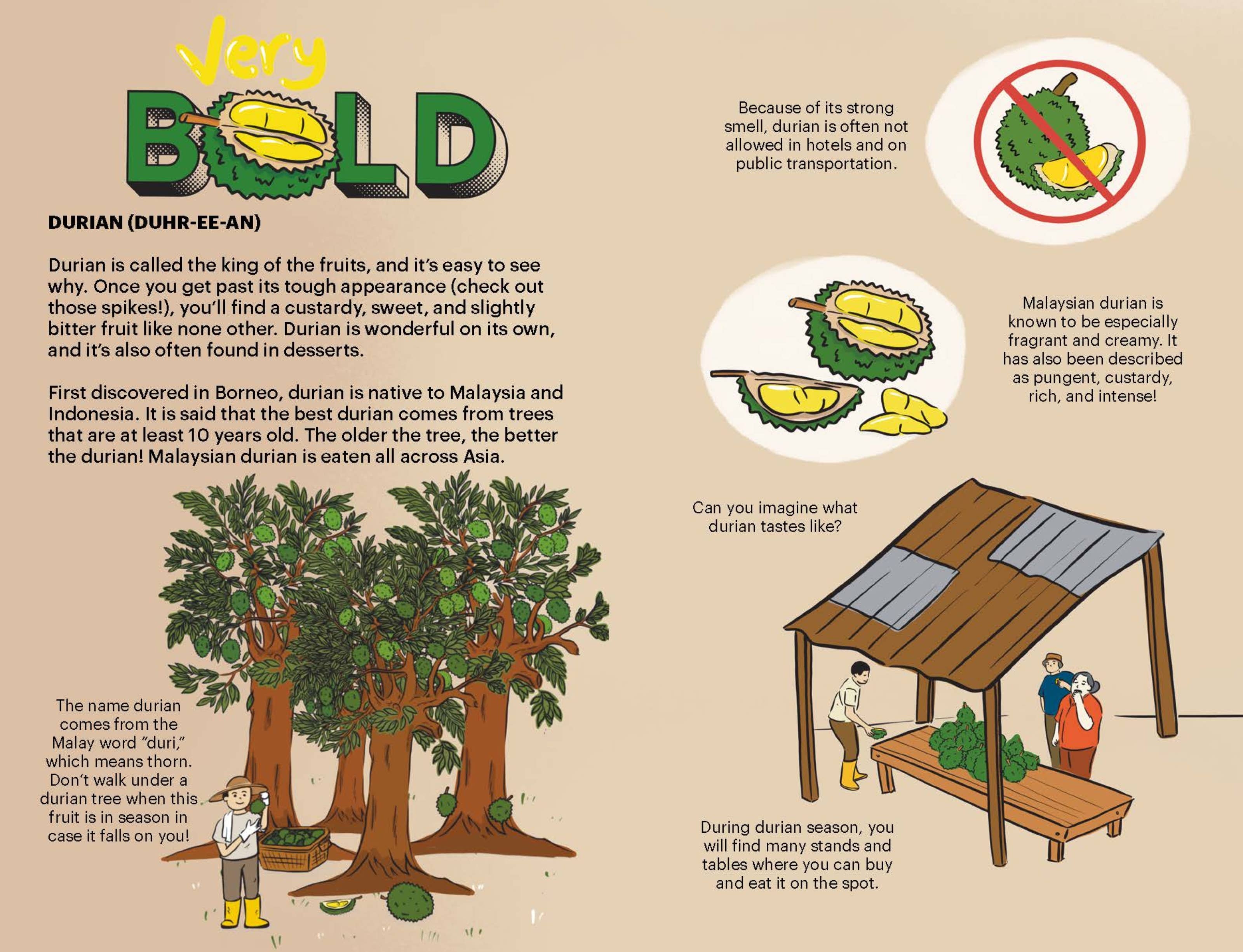 A Very Asian Guide to Singaporean and Malaysian Food