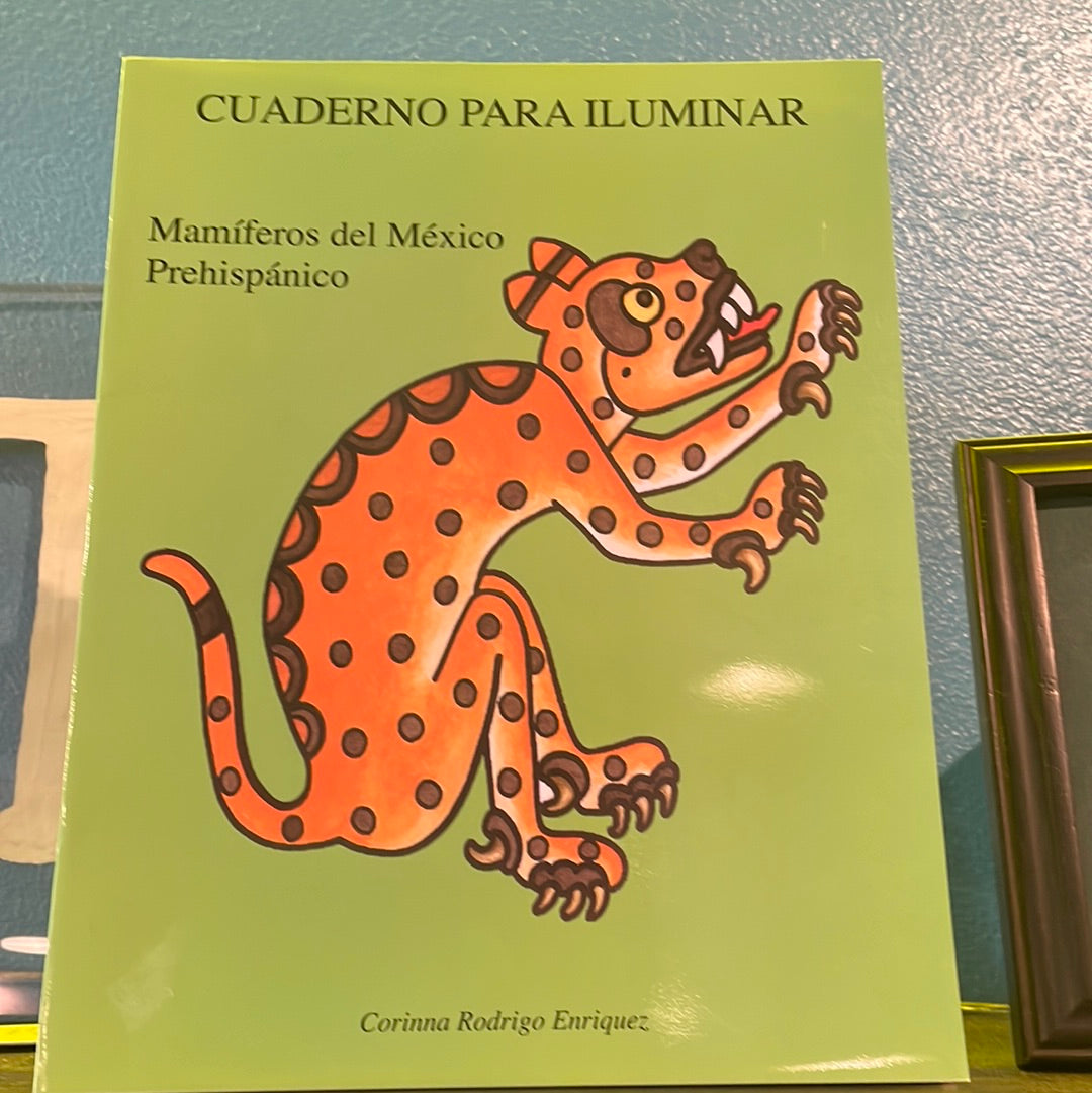 Cuaderno Para Iluminar