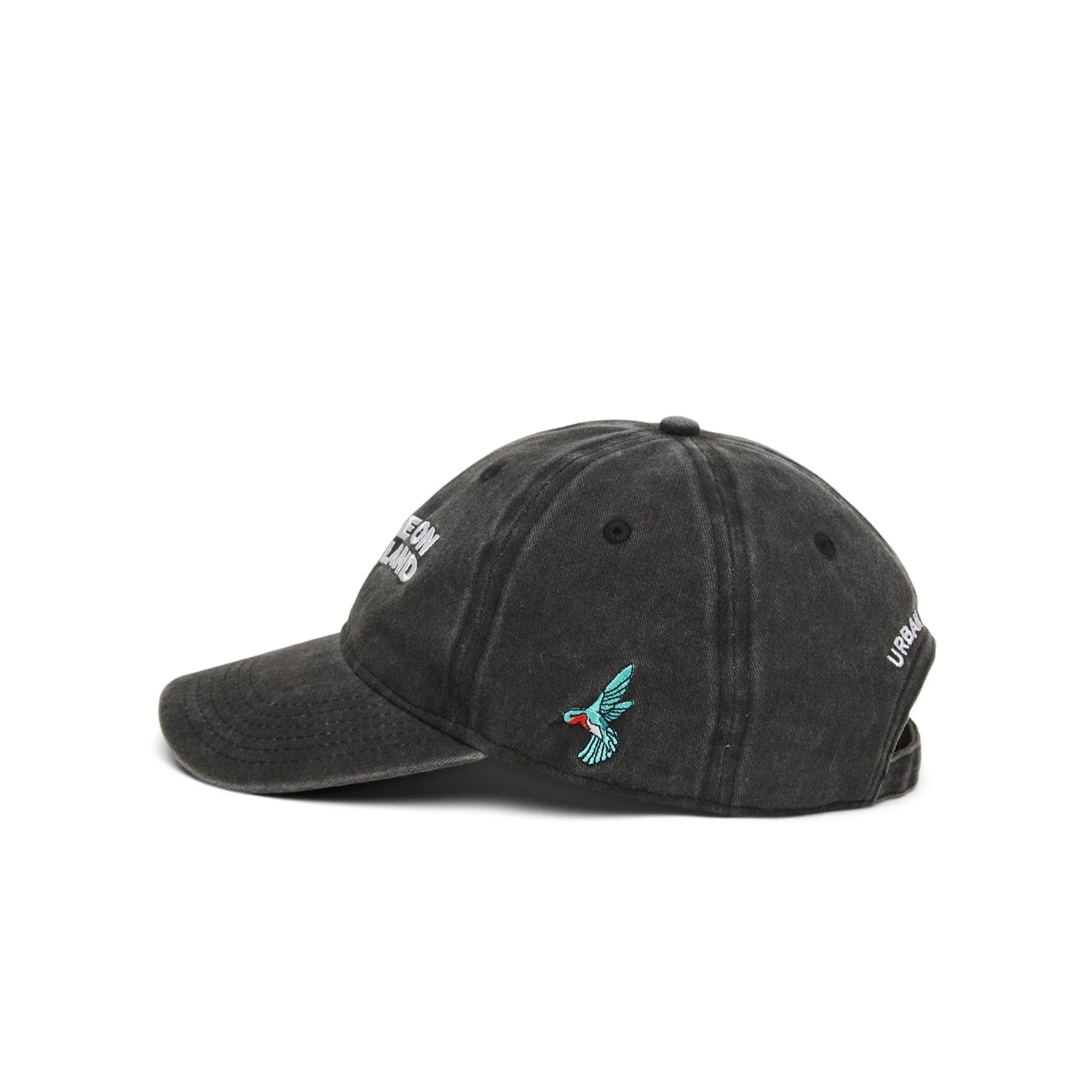 'YOU ARE ON NATIVE LAND' Dad Cap