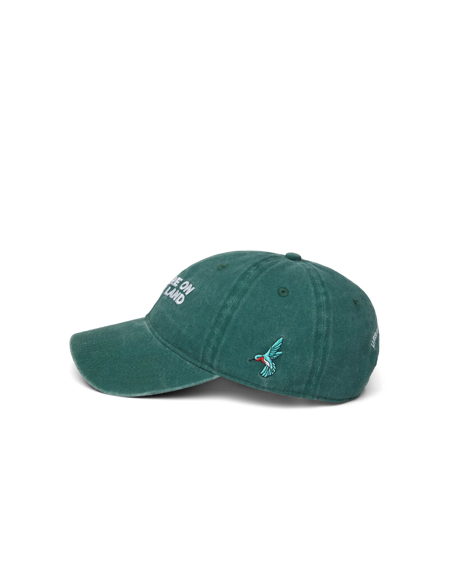 'YOU ARE ON NATIVE LAND' Dad Cap