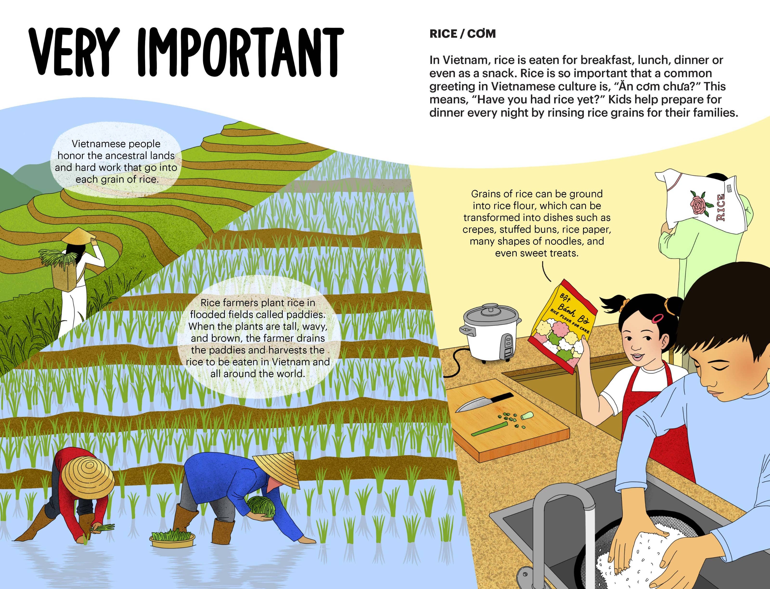 A Very Asian Guide to Vietnamese Food: Picture Book