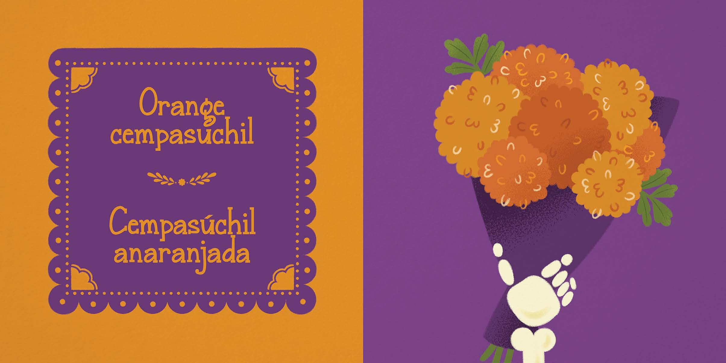 La Catrina: Colors/Colores