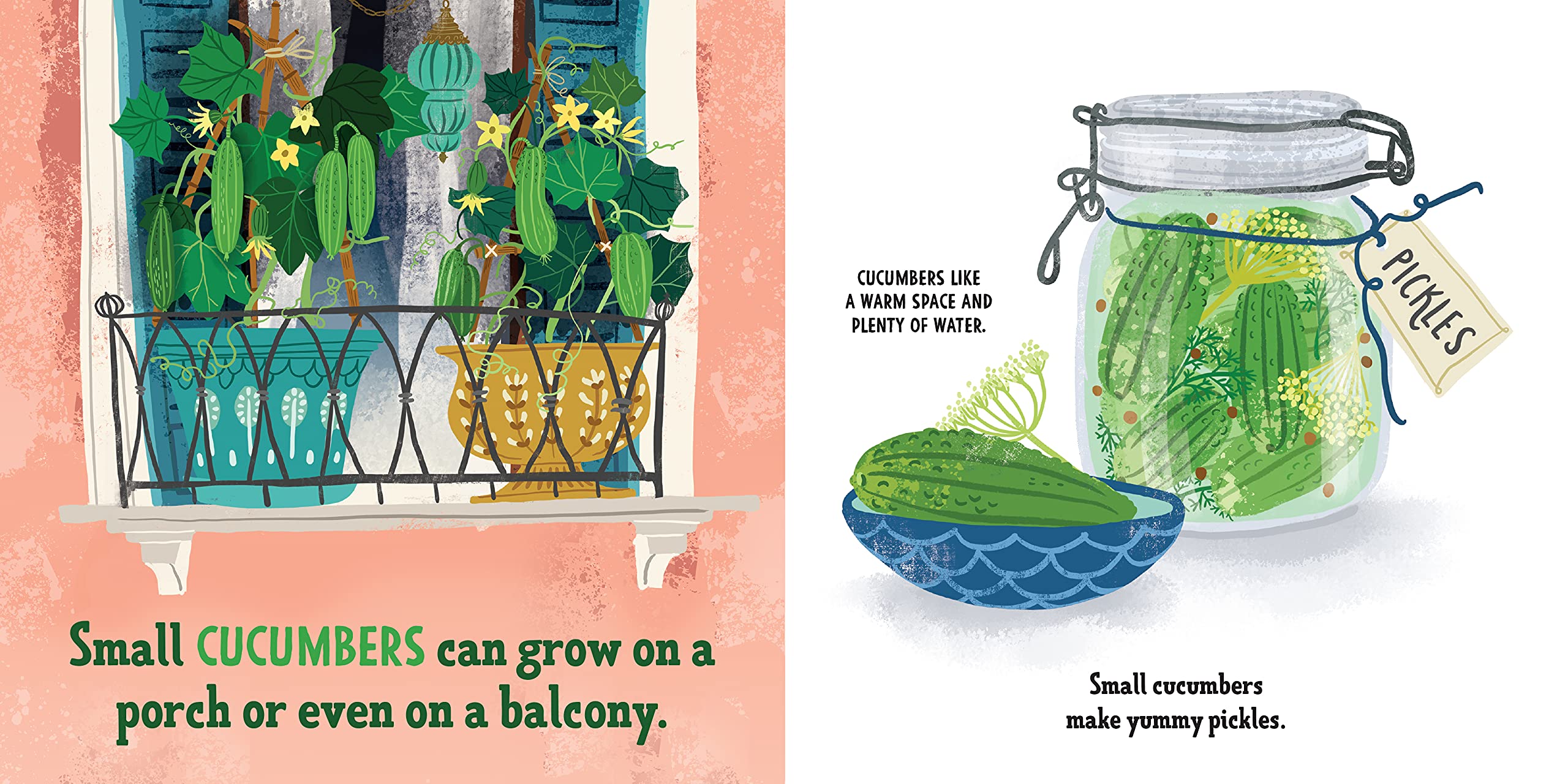 My First Book of Growing Food(BB)