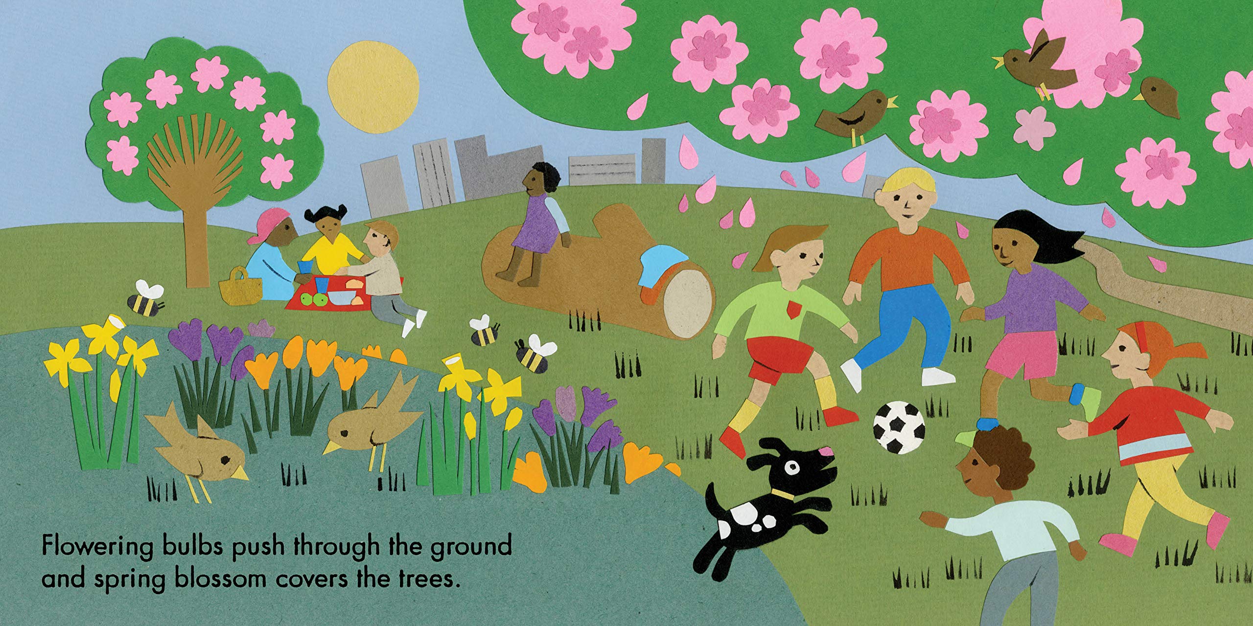 Little Observers: In the Park (Board Book)