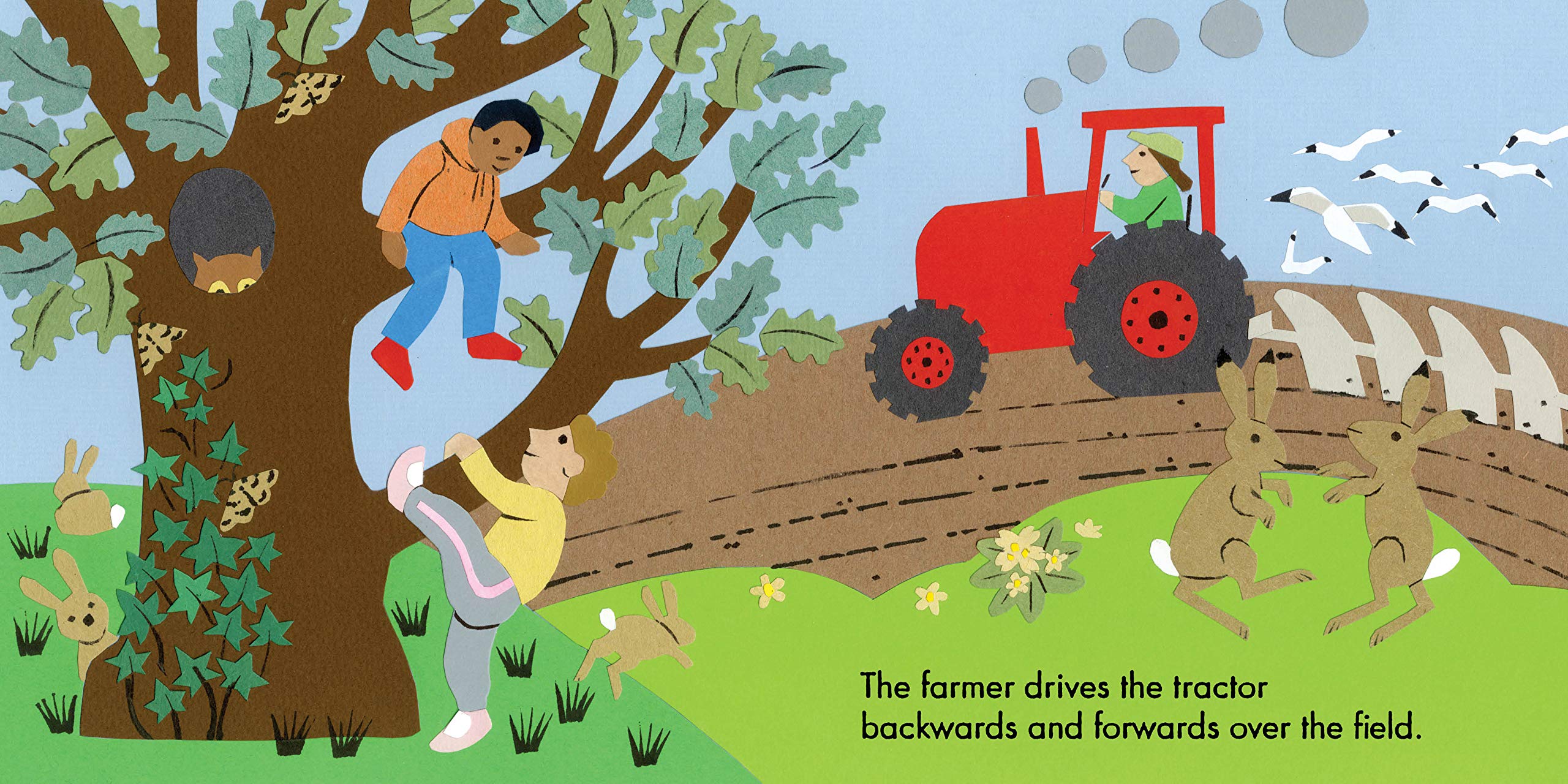 Little Observers: On the Farm (Board Book)