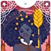 Star Spinner Tarot: (Inclusive, Diverse, LGBTQ Deck of Tarot Cards, Modern Version of Classic Tarot Mysticism)