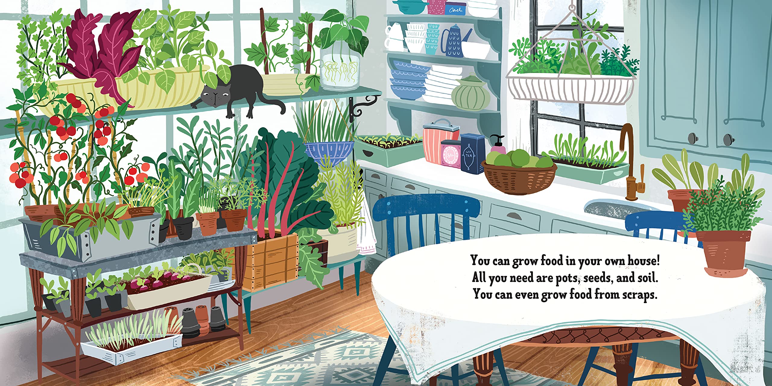 My First Book of Growing Food(BB)