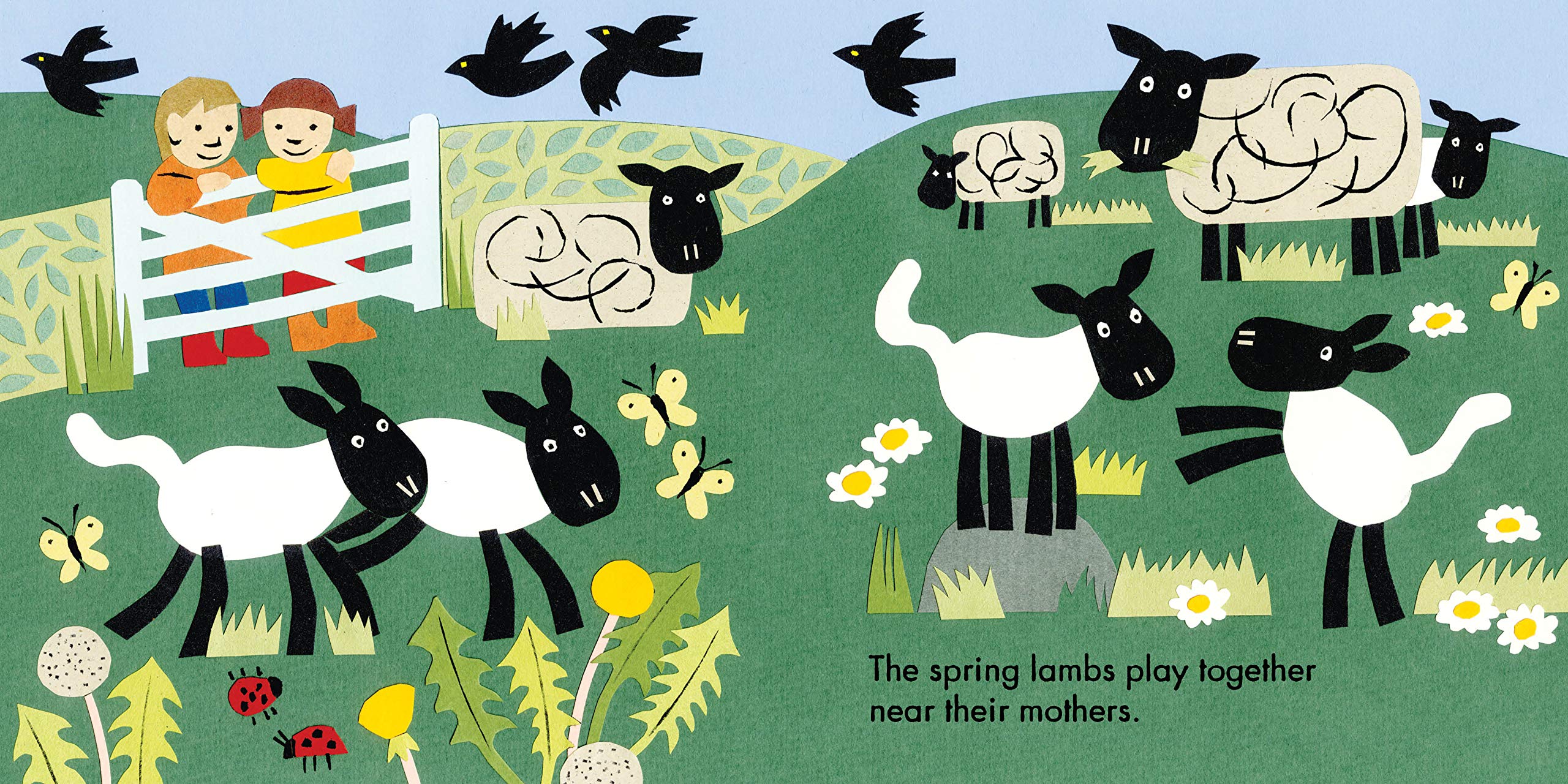Little Observers: On the Farm (Board Book)