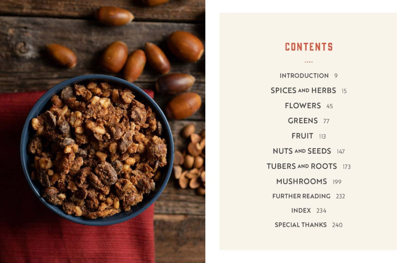 The Forager's Pantry: Cooking with Wild Edibles (Hardcover)