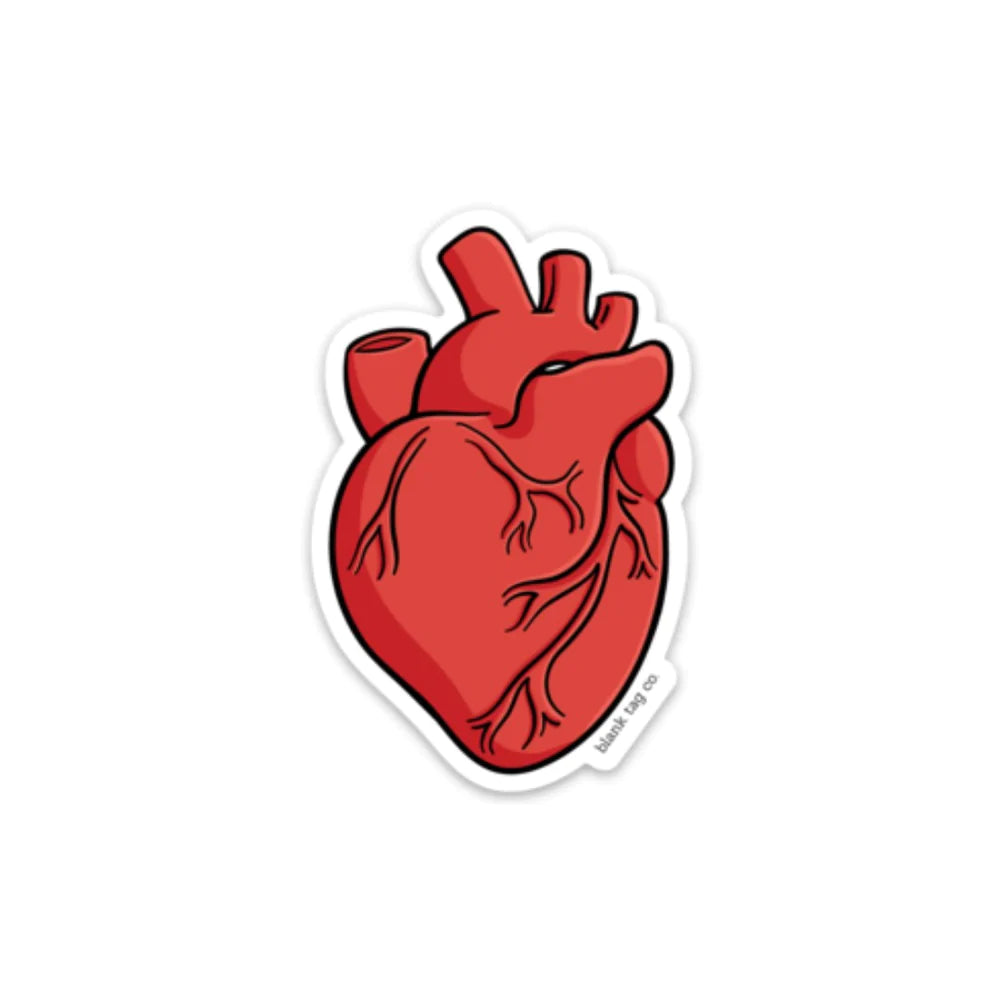 The Anatomical Heart Sticker