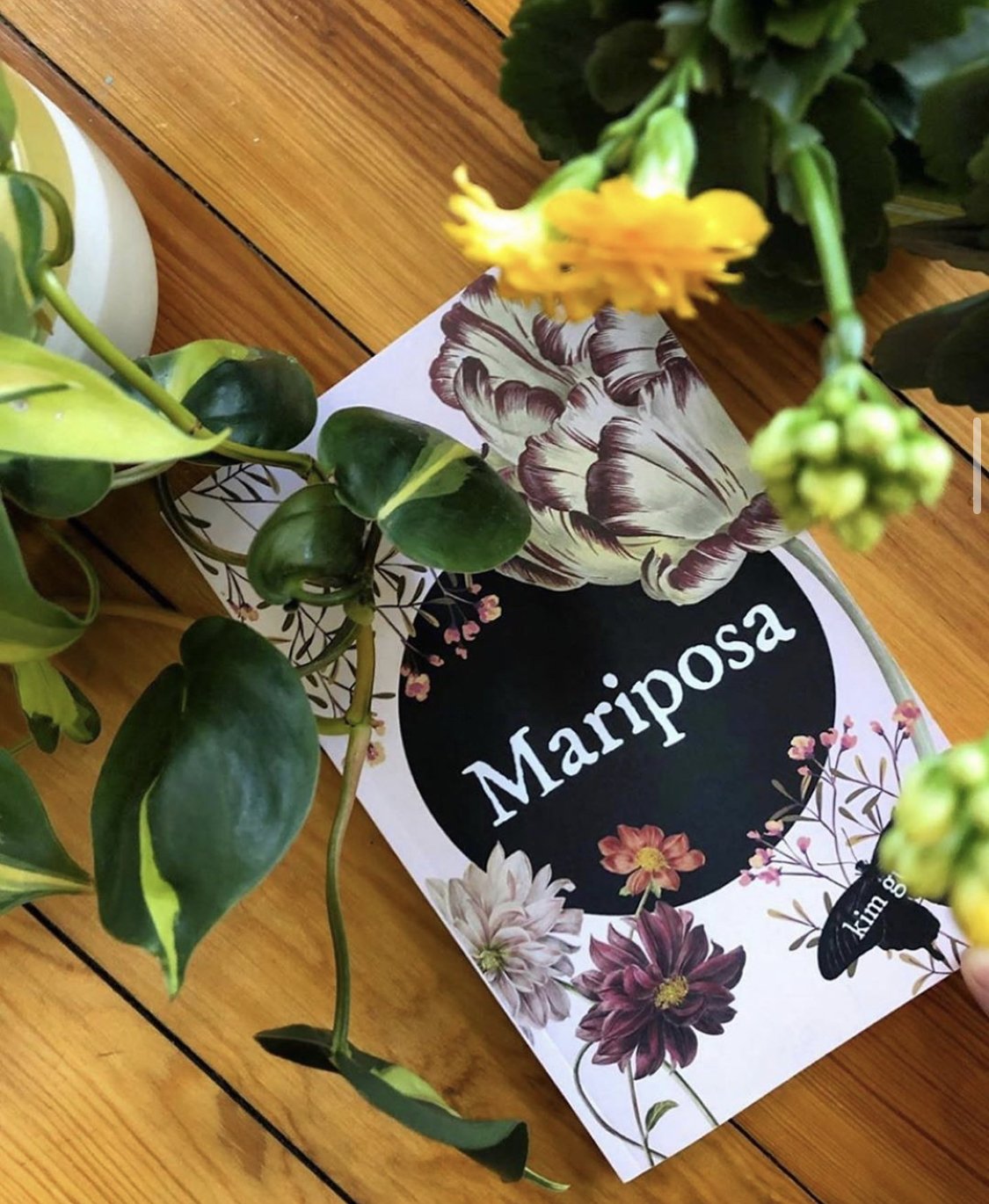 Mariposa