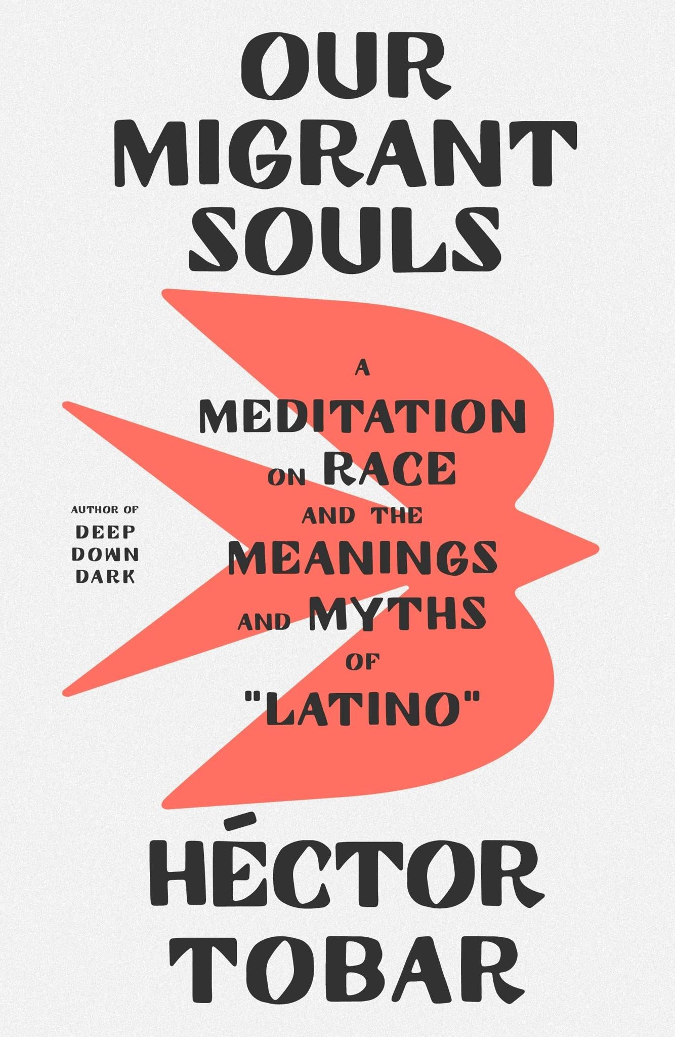 Our Migrant Souls: A Meditation on Race and the Meanings and Myths of “Latino” Hardcover