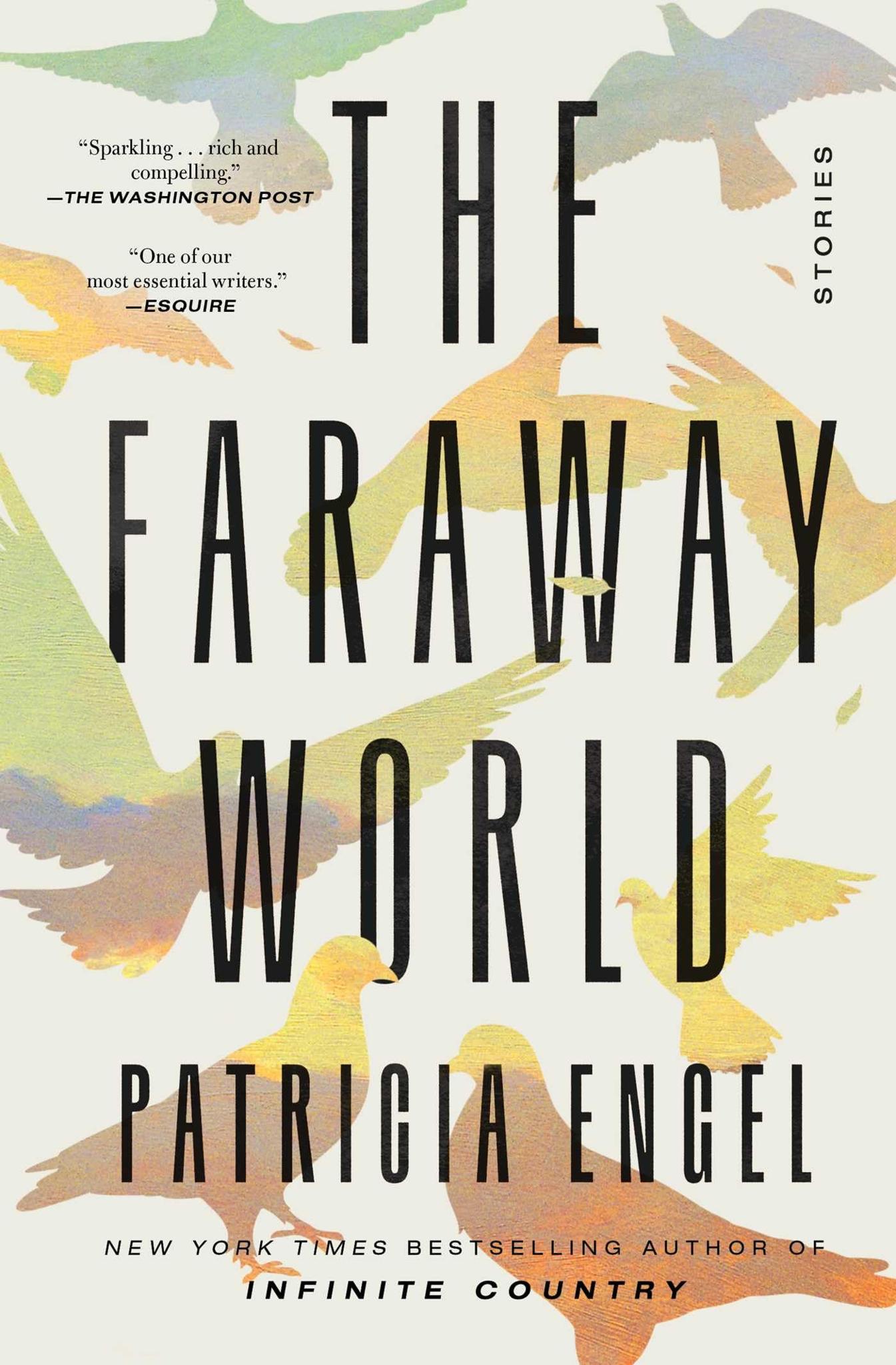 The Faraway World: Stories Paperback