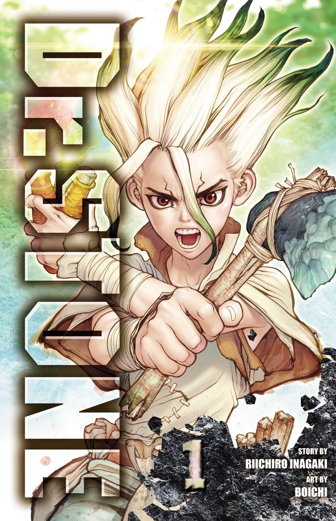 Dr. STONE, Vol. 1 (1) Paperback