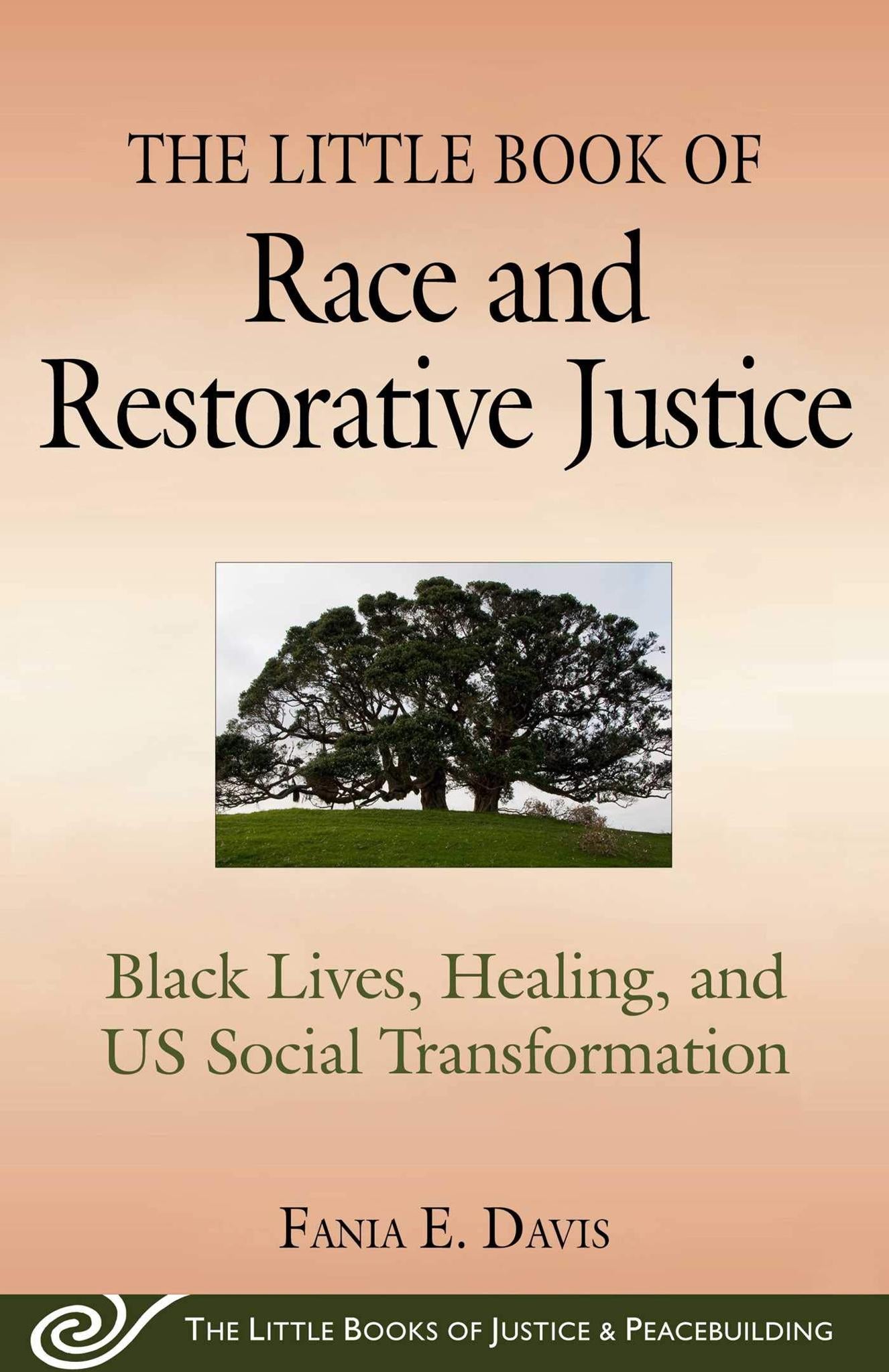 The Little Book of Race and Restorative Justice: Black Lives, Healing, and US Social Transformation (Justice and Peacebuilding)