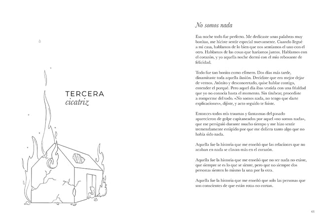 A través de mis cicatrices / Through My Scars (Spanish Edition) Paperback