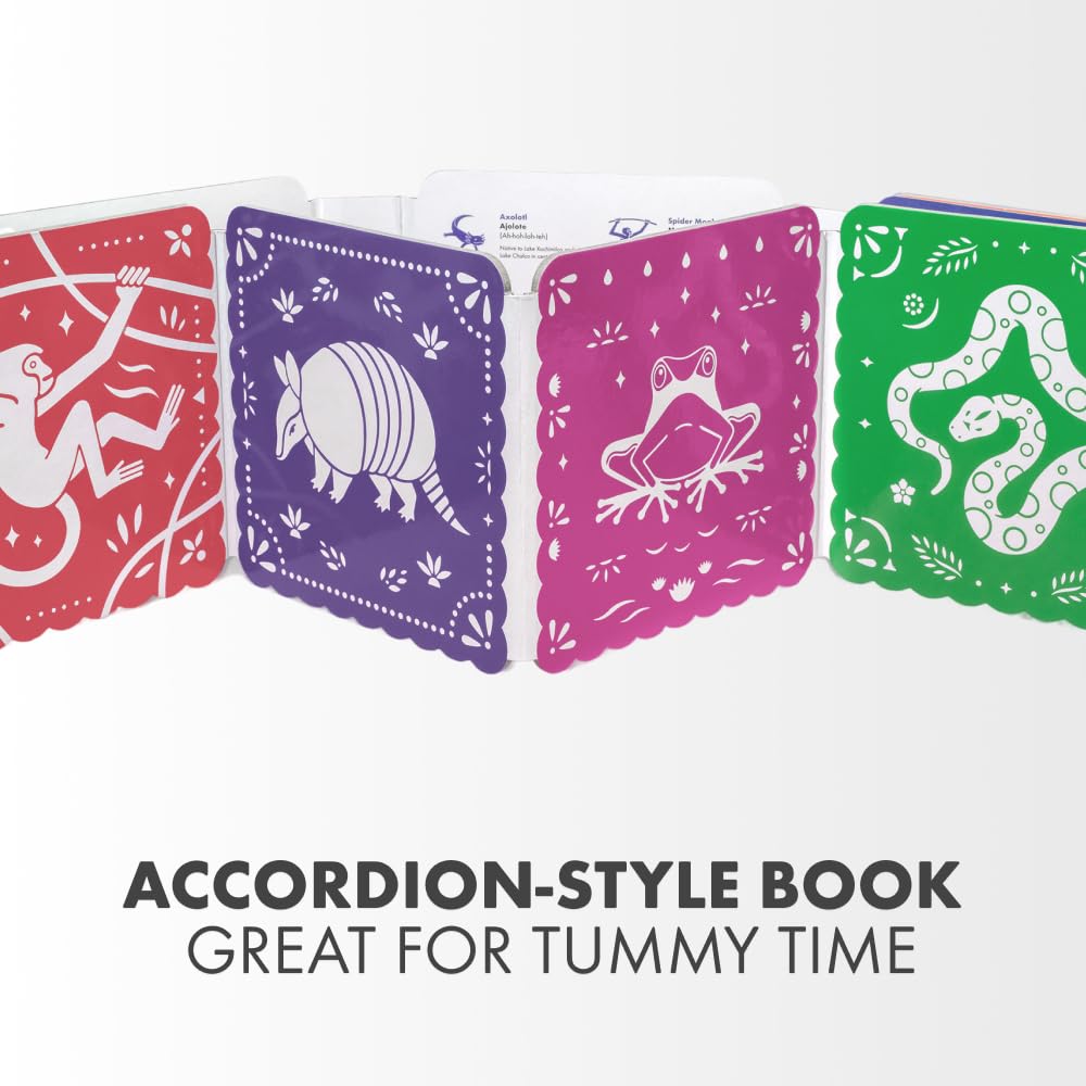 El Tummy Time: A High-Contrast Board Book Featuring Animals from Latin America