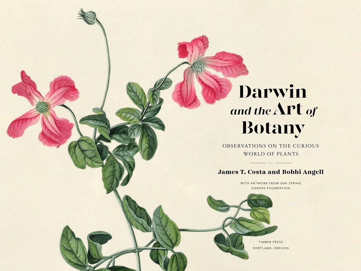 Darwin and the Art of Botany: Observations on the Curious World of Plants Hardcover