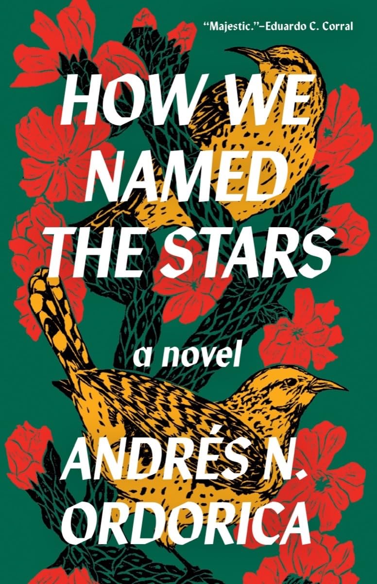 How We Named the Stars Paperback