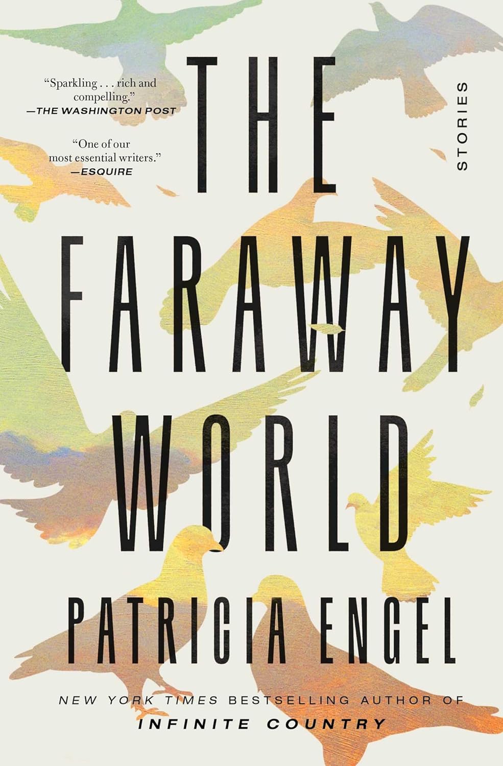 The Faraway World: Stories Paperback
