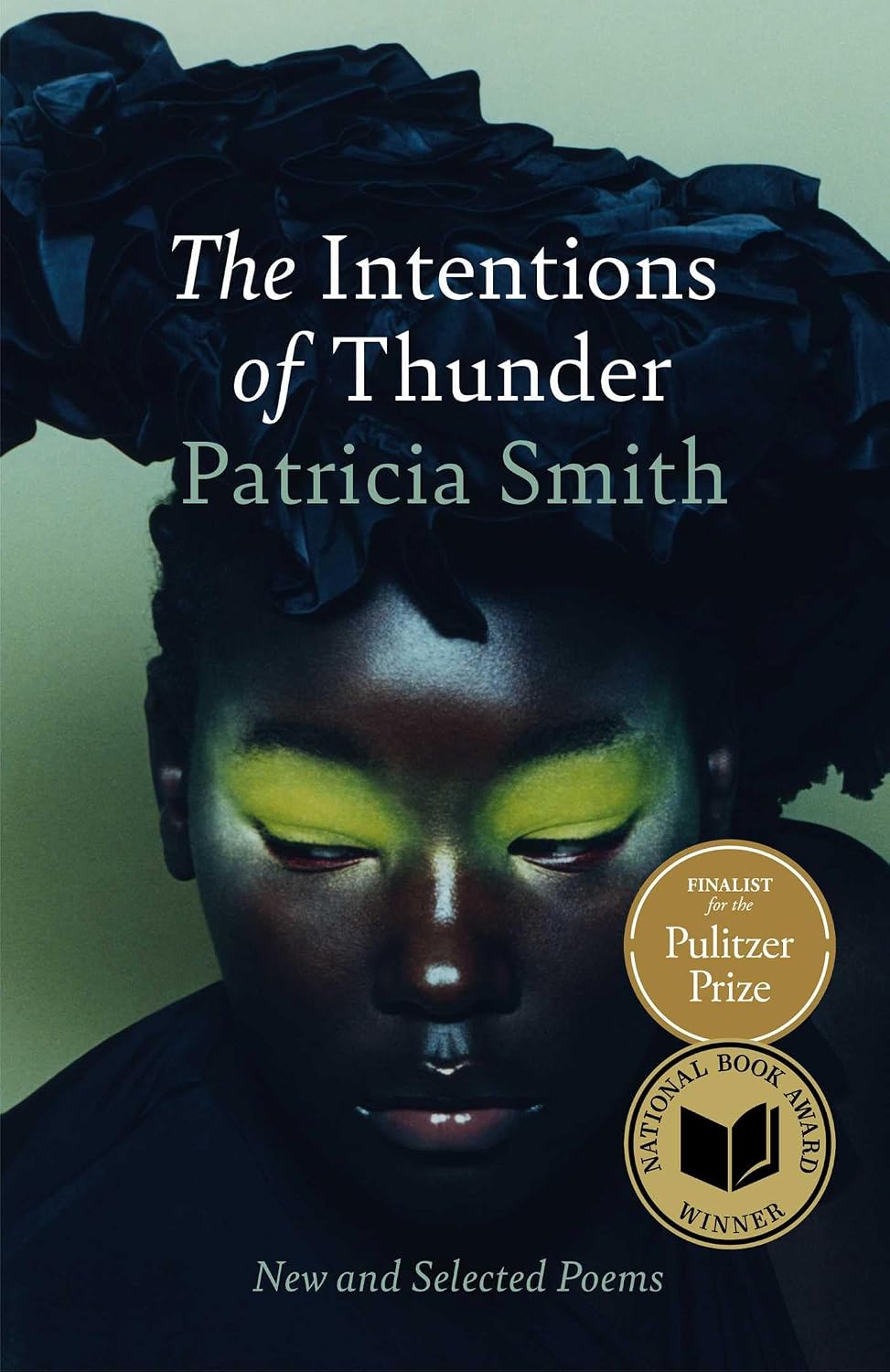 The Intentions of Thunder: New and Selected Poems