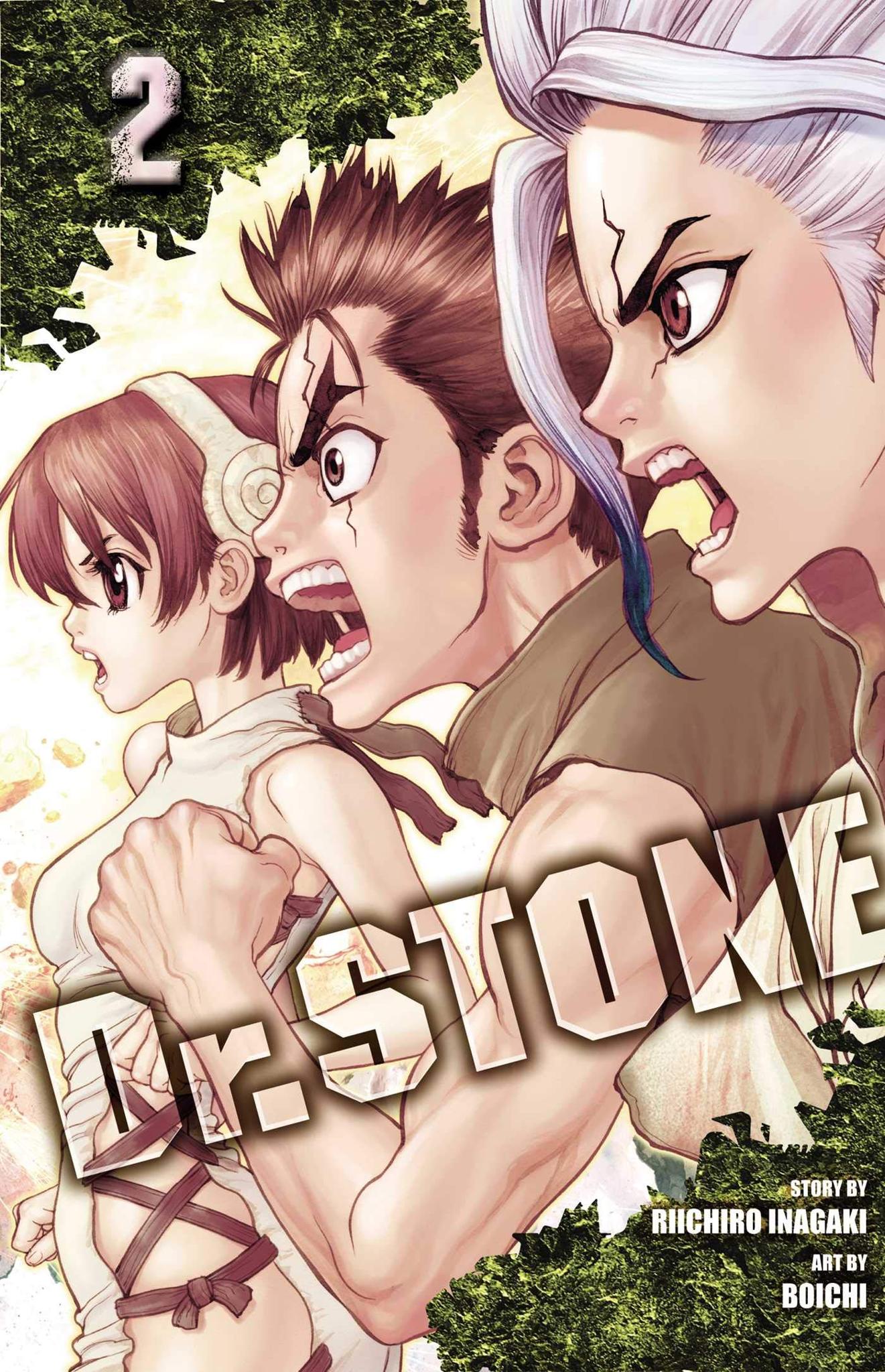 Dr. STONE, Vol. 2 (2) Paperback