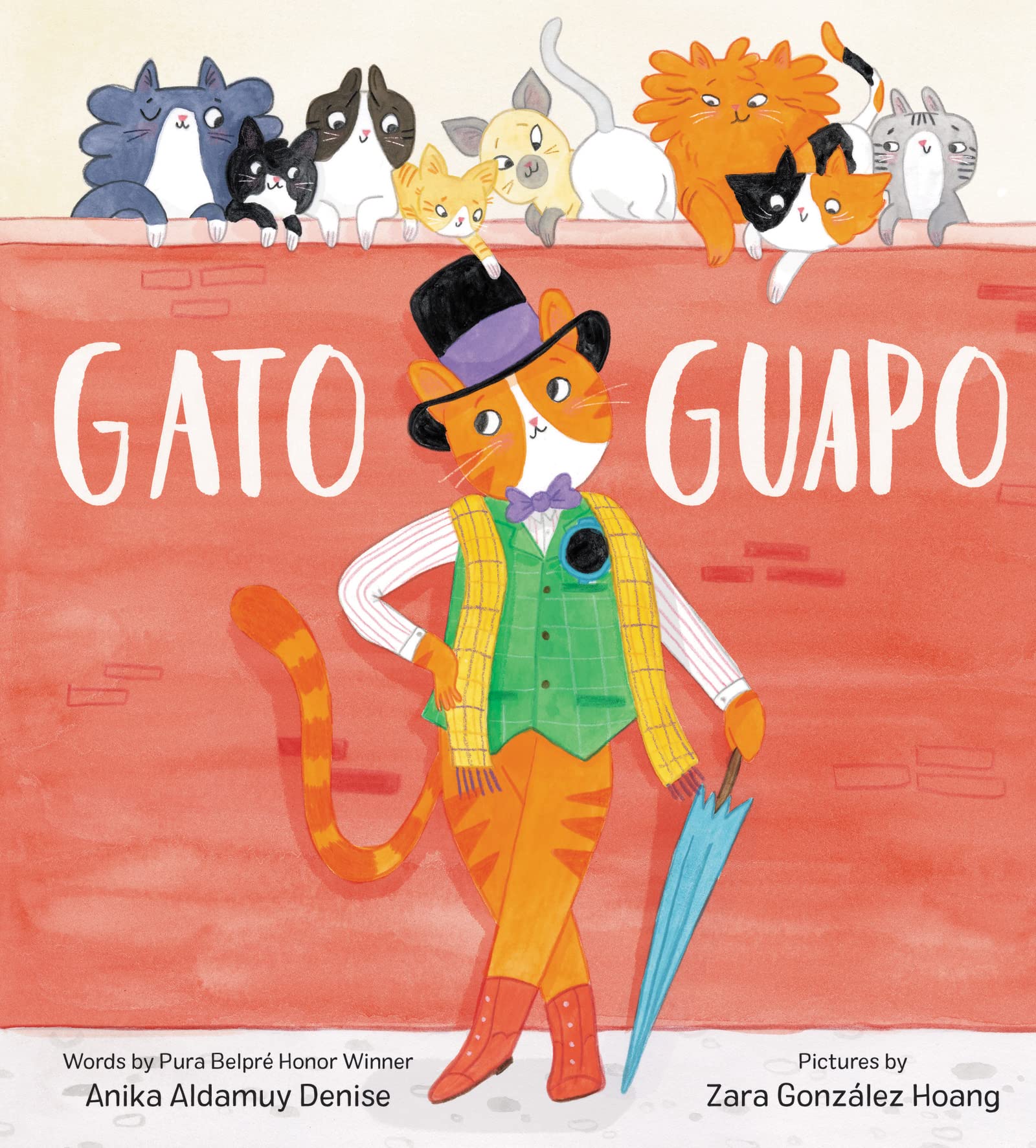 Gato Guapo Hardcover – Picture Book