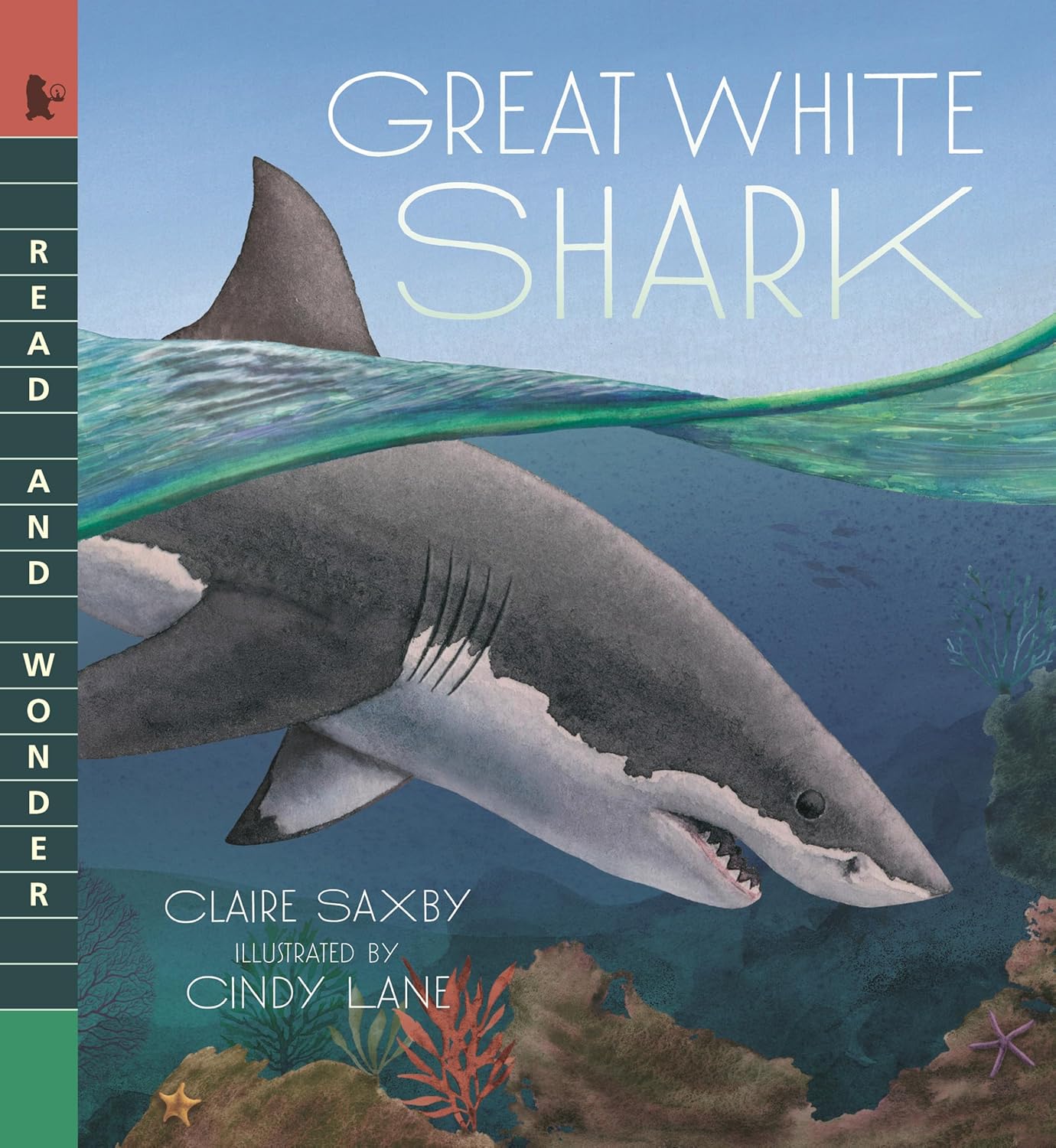 Great White Shark (Read and Wonder)