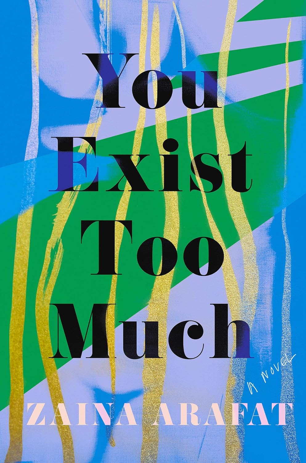 You Exist Too Much: A Novel (PB)