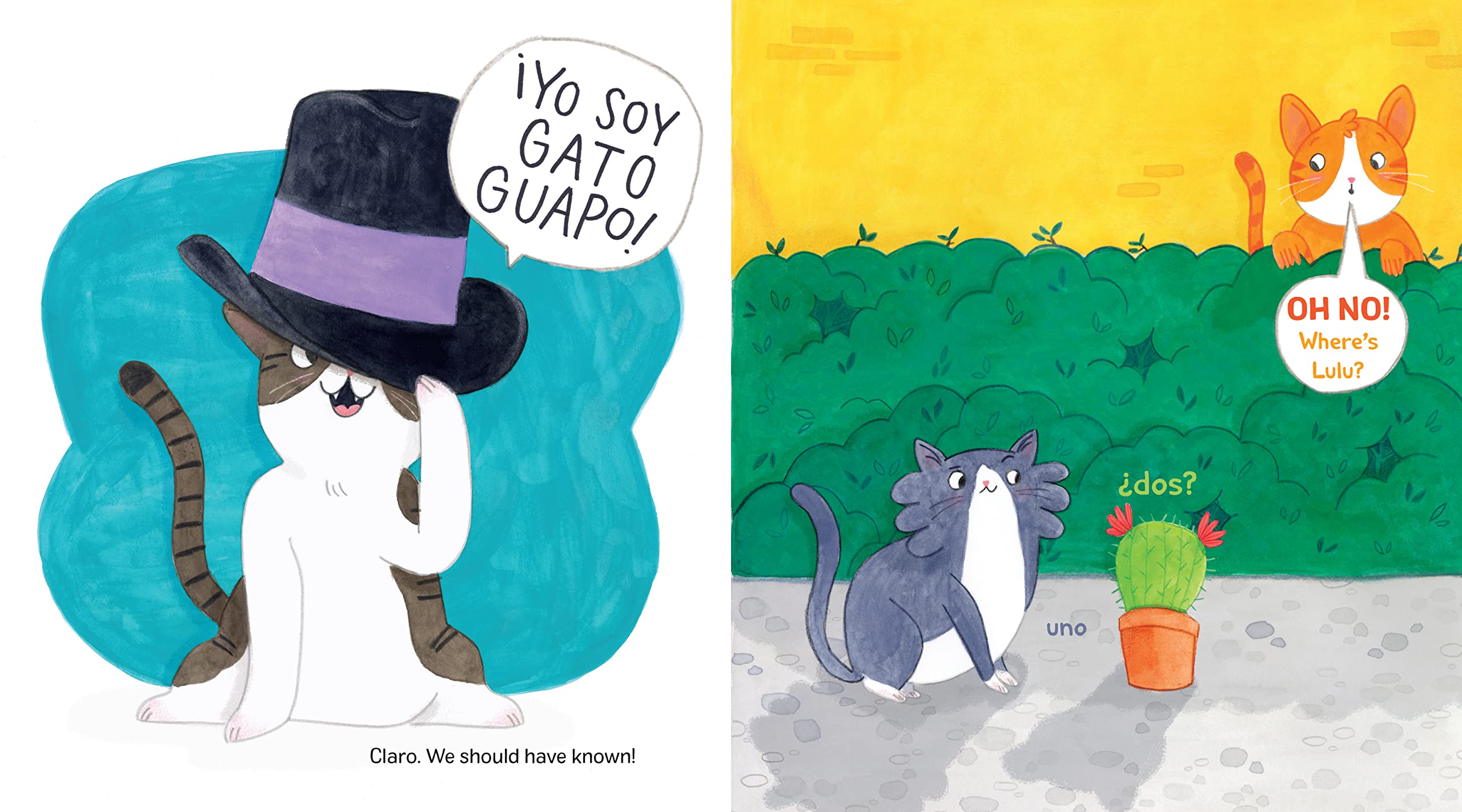 Gato Guapo Hardcover – Picture Book