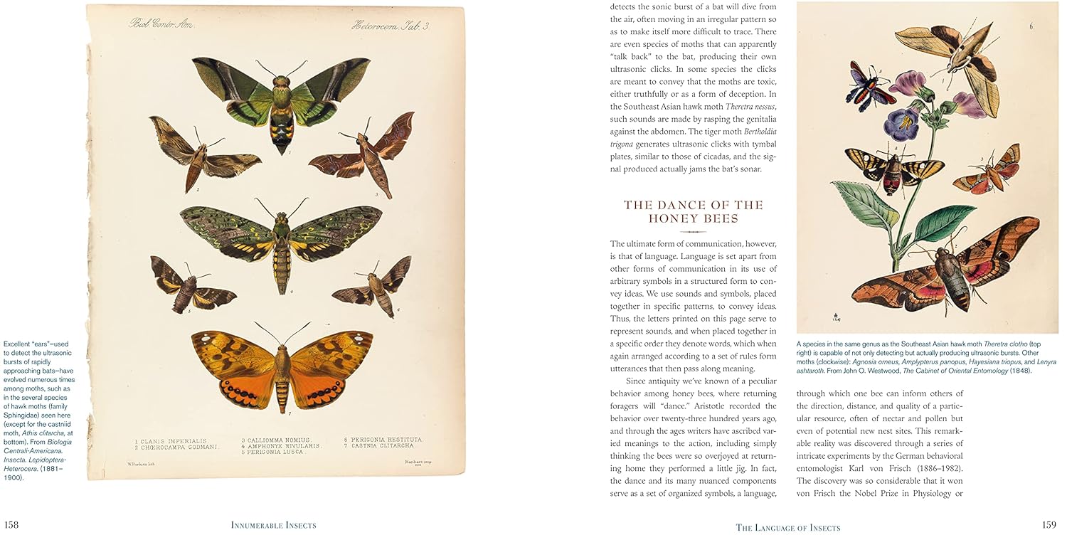 Innumerable Insects: The Story of the Most Diverse and Myriad Animals on Earth (Natural Histories) Hardcover