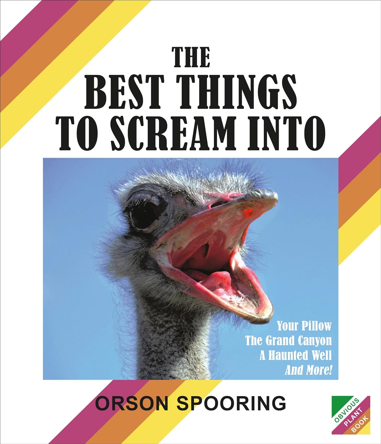 The Best Things to Scream Into Hardcover