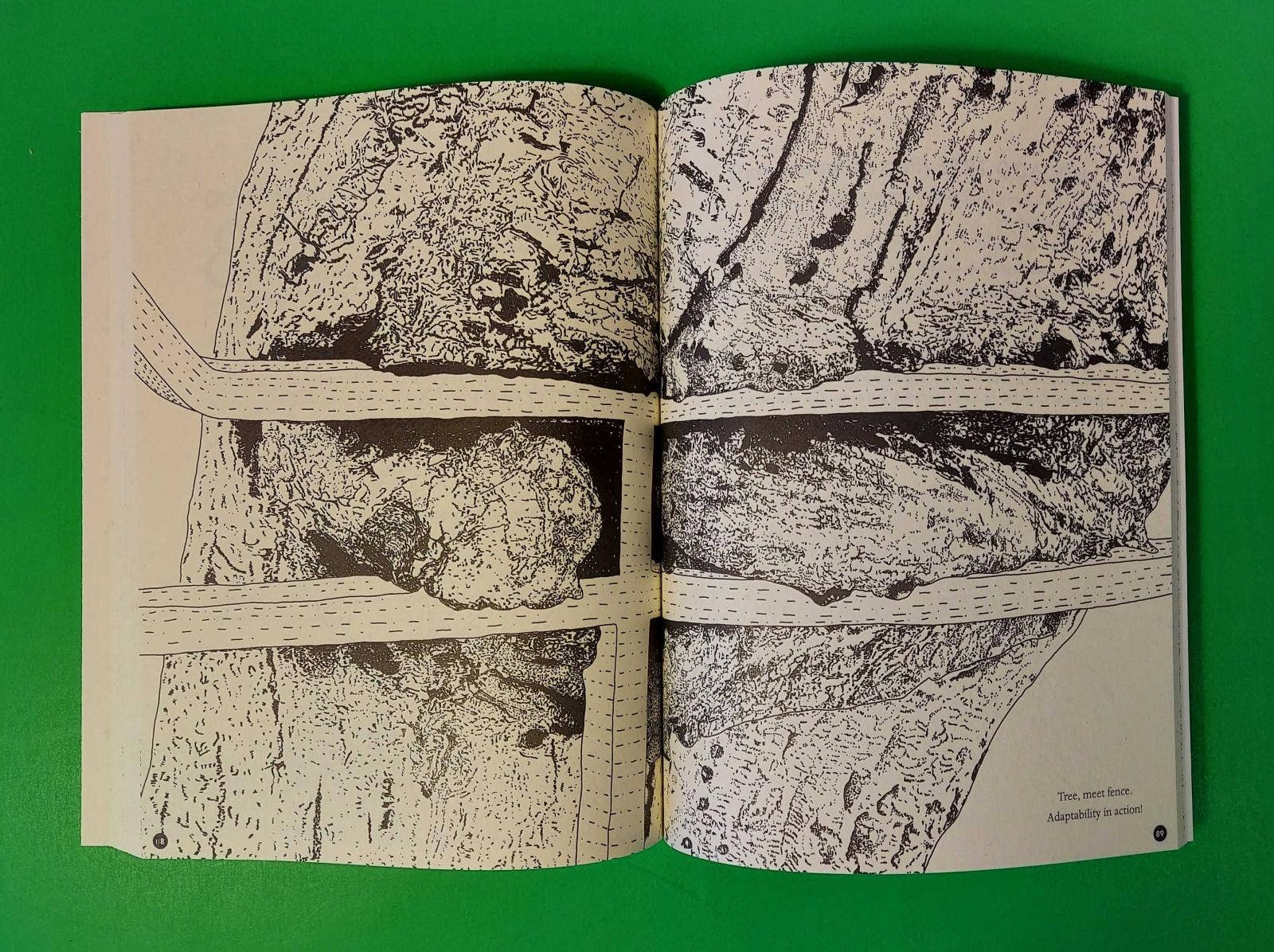 Queer Animals and Plants Coloring Book